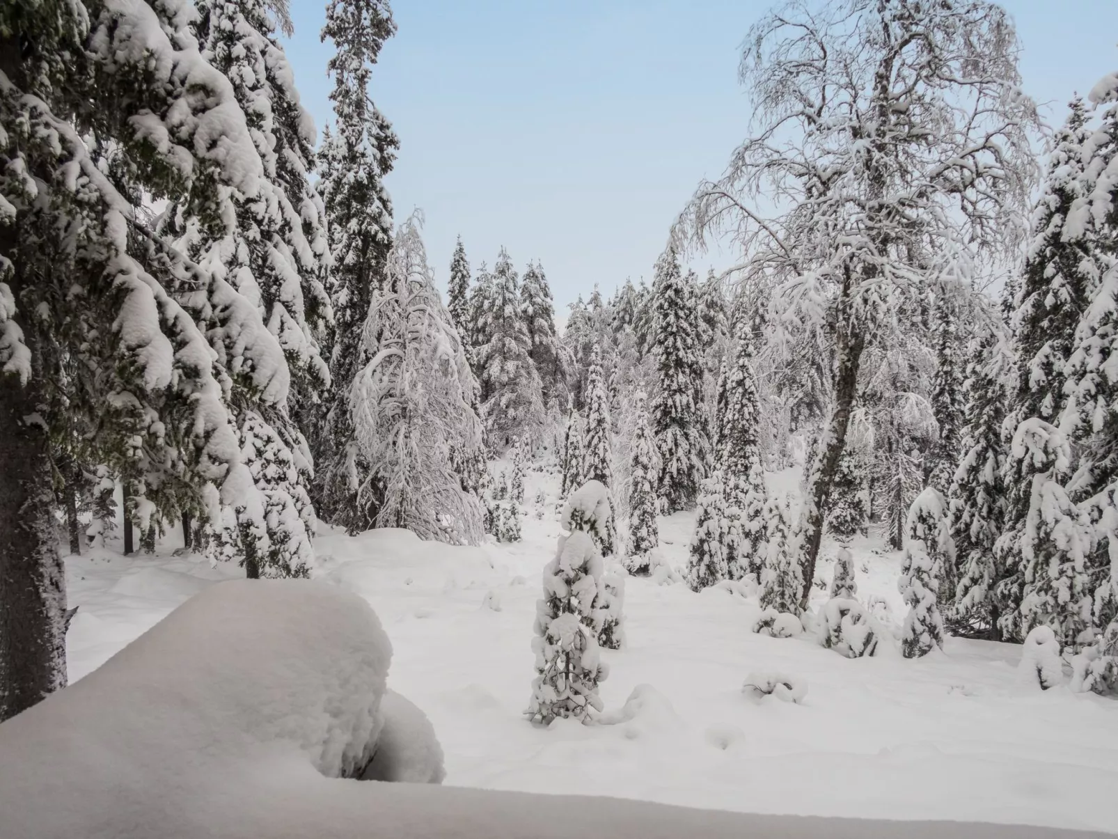 Ruka-rokova 2-Dedans