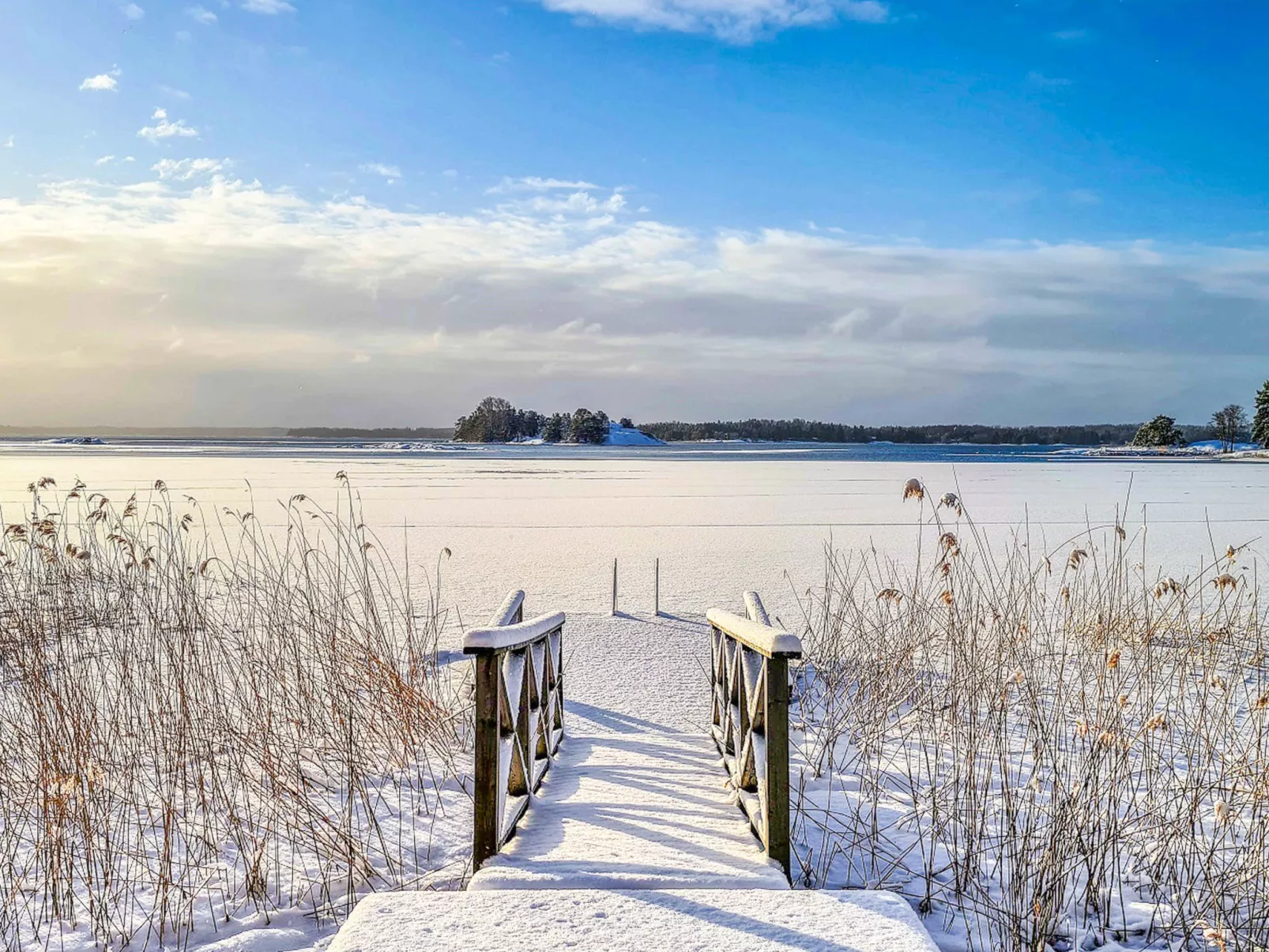 Villa frideberg-Dedans