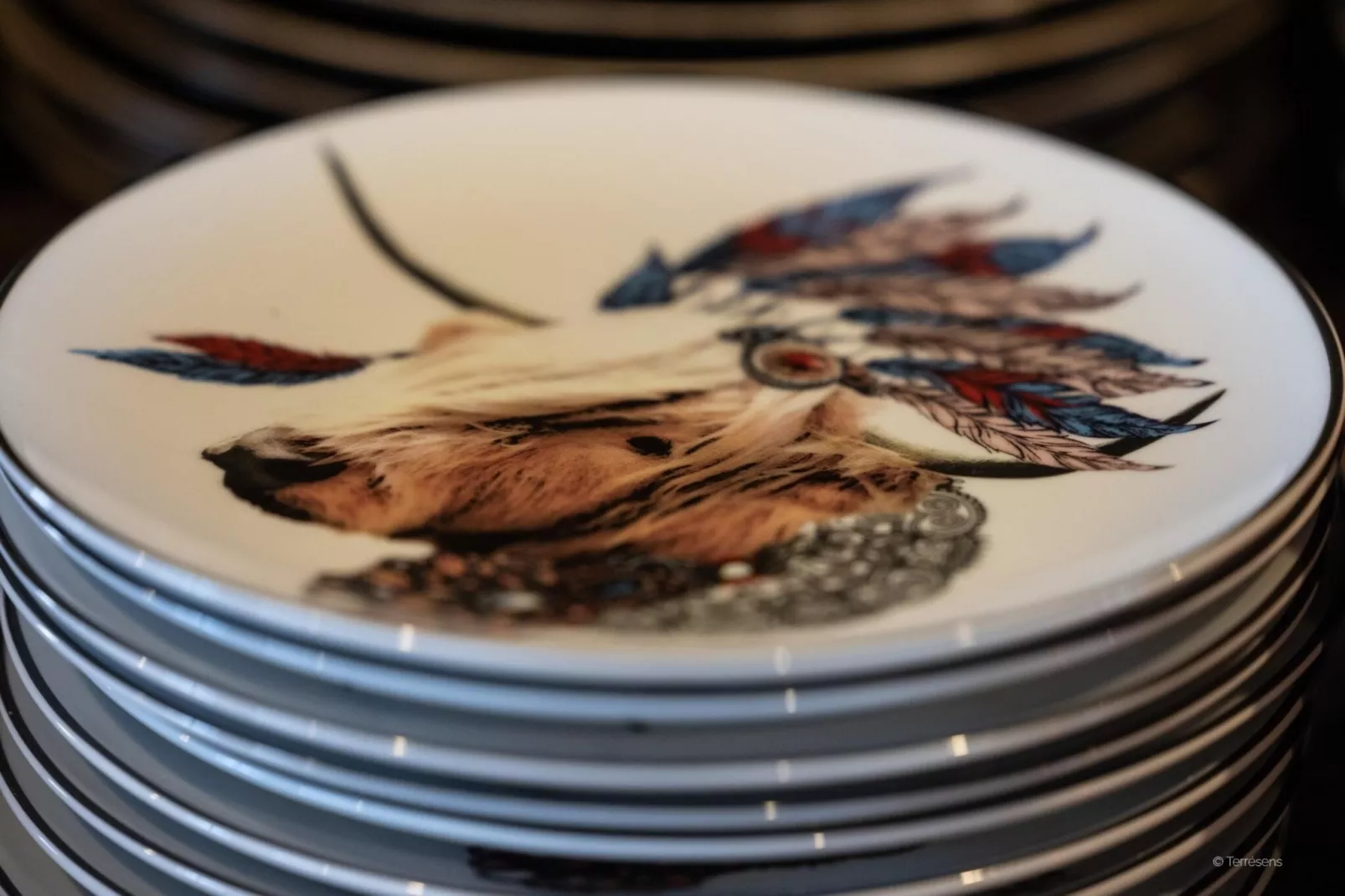 Le Cristal Lodge-R3TS-Ambiente