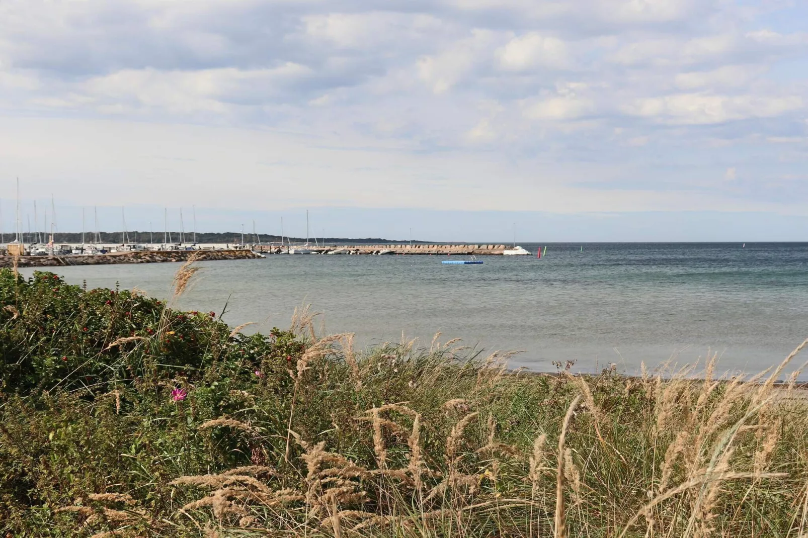 5 Sterne Ferienhaus in Torekov-Nicht zugeordnet