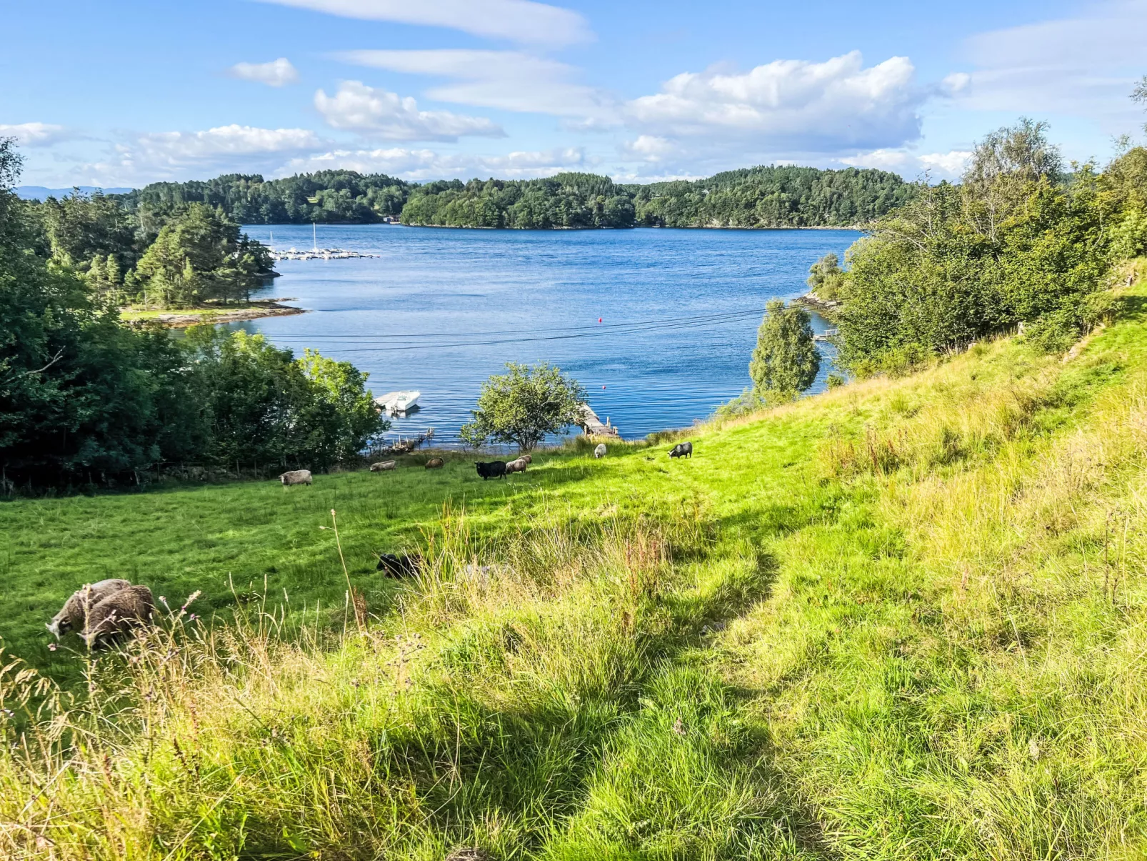 Lauvlid Cottage-Draußen