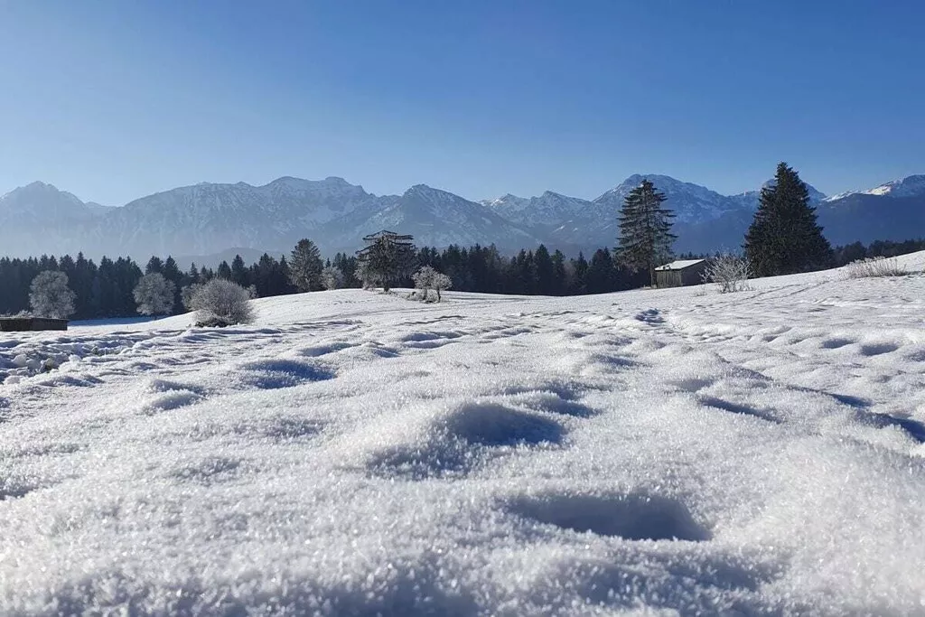 59980-Nicht zugeordnet