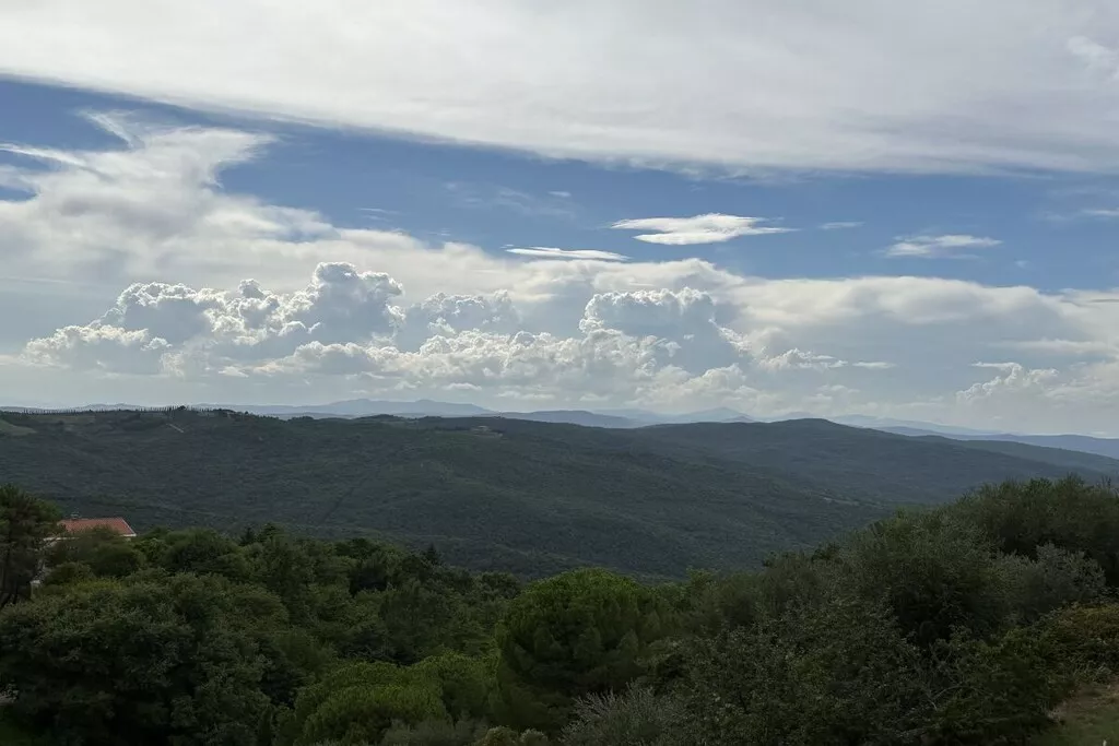 539355-Nicht zugeordnet