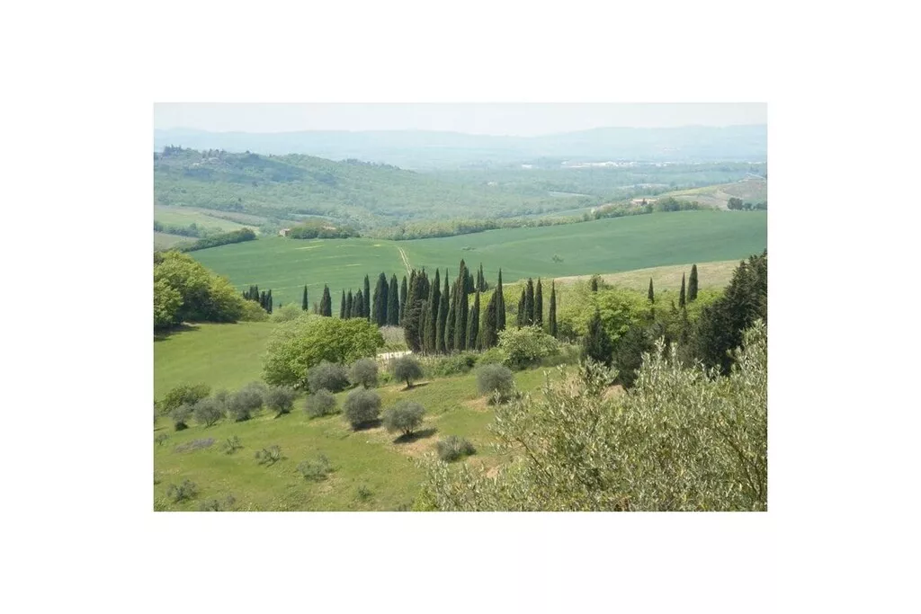 256322-Nicht zugeordnet