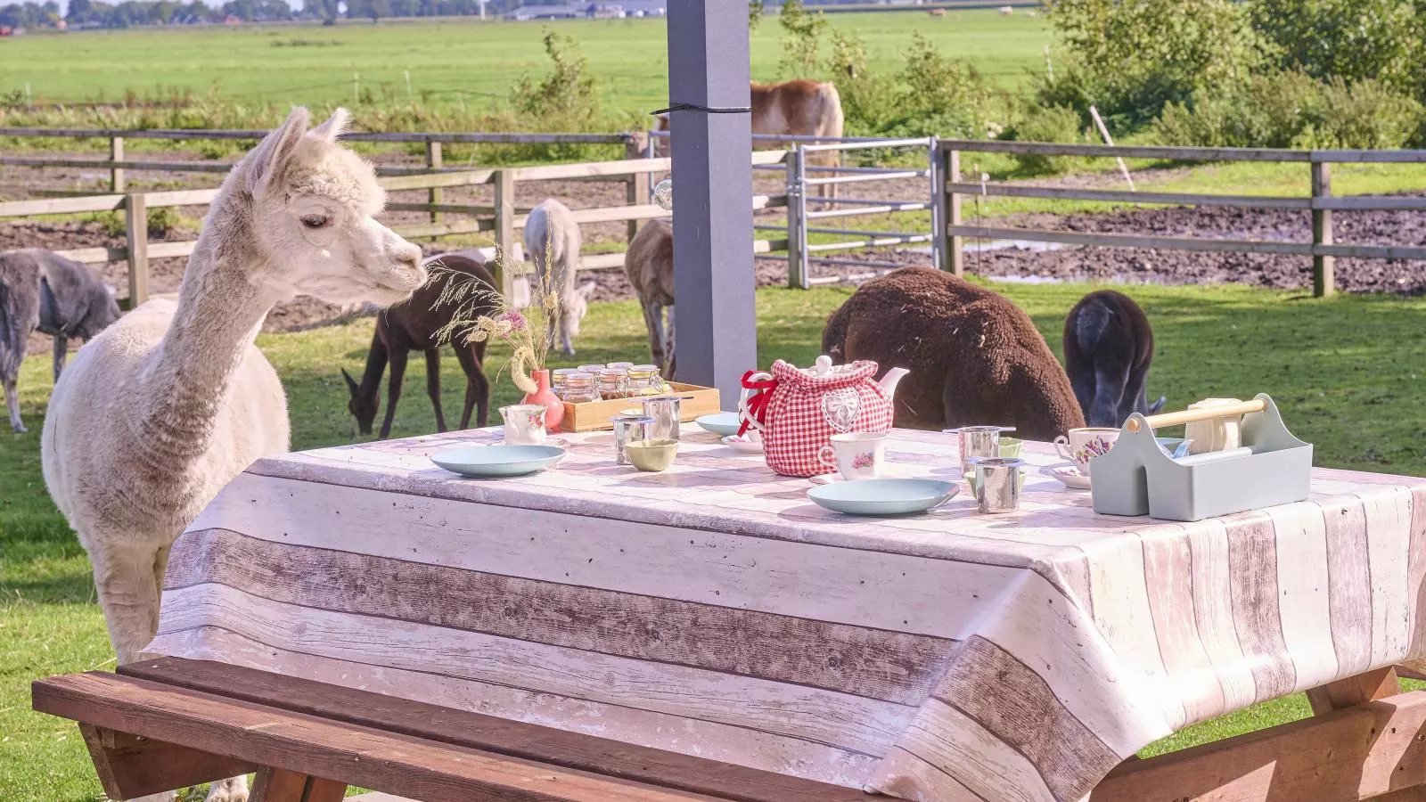 Alpa Casa-Zones été à 1 km