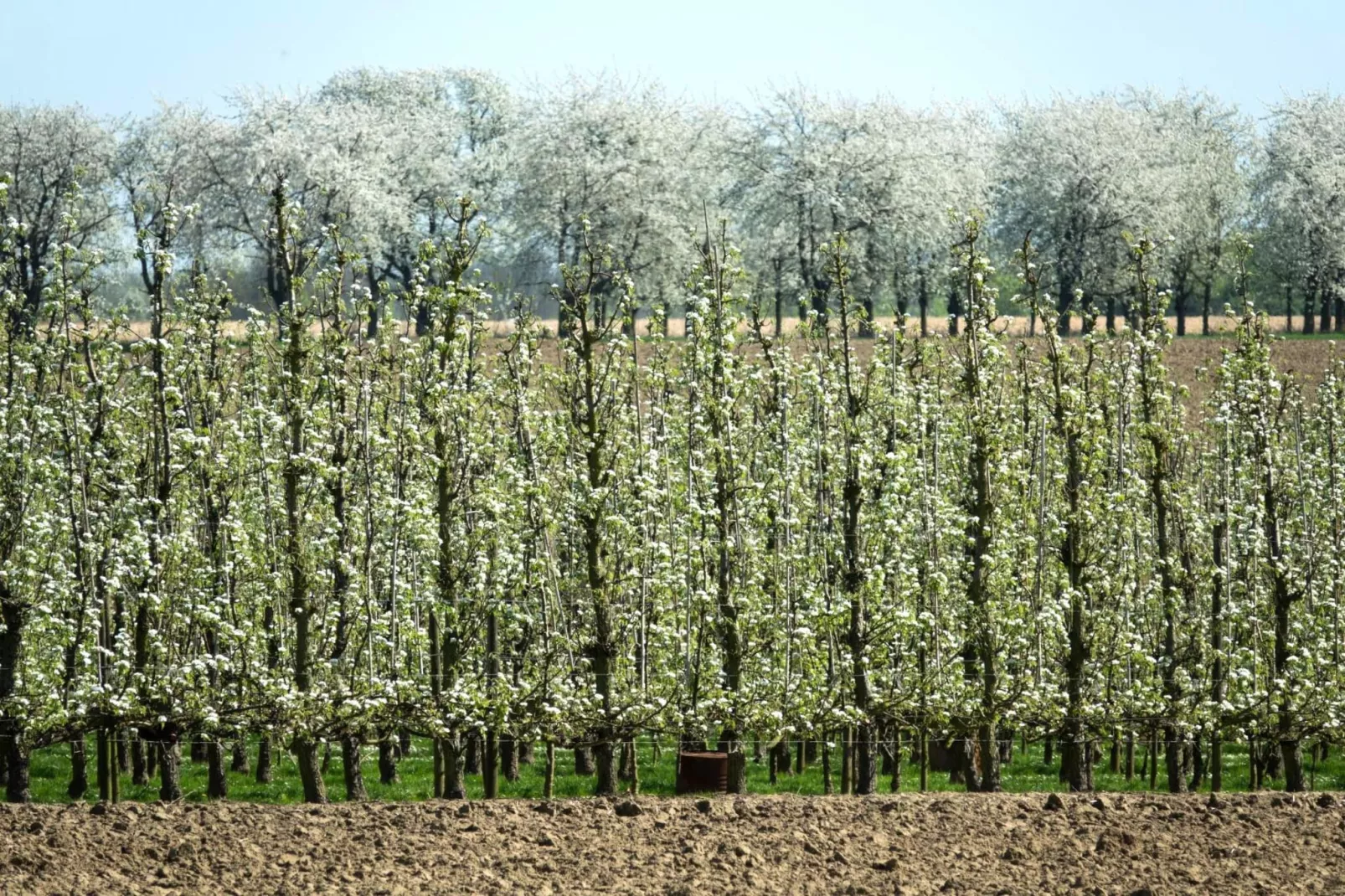 Hol van de vos - wellness-Gebiete Sommer 1 km