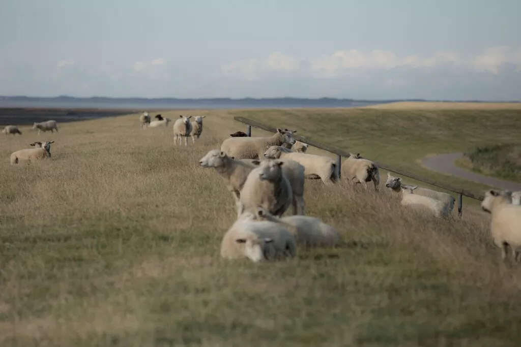 403944-Nicht zugeordnet