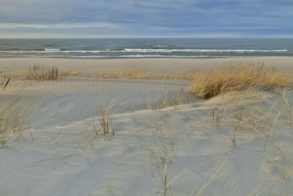 241695-Nicht zugeordnet