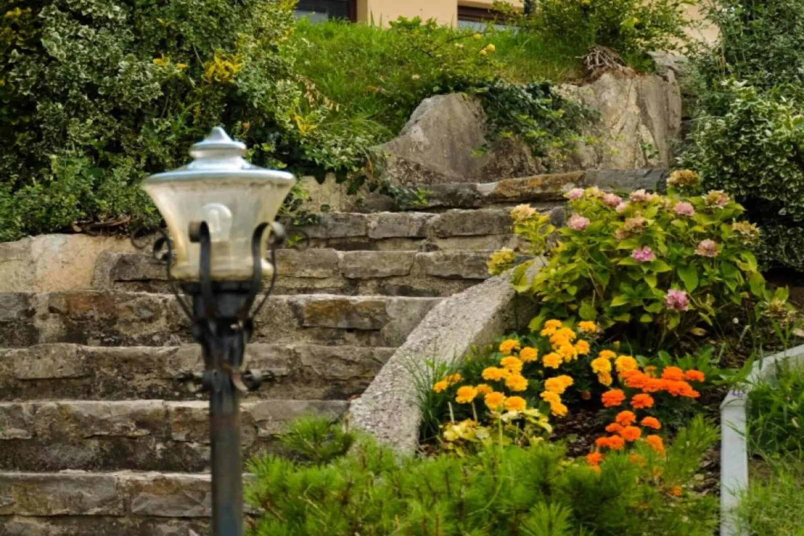 Zevnik Quiet Retreat with Stunning Views and Equestrian Activities - One Bedroom Apartment-Outdoor