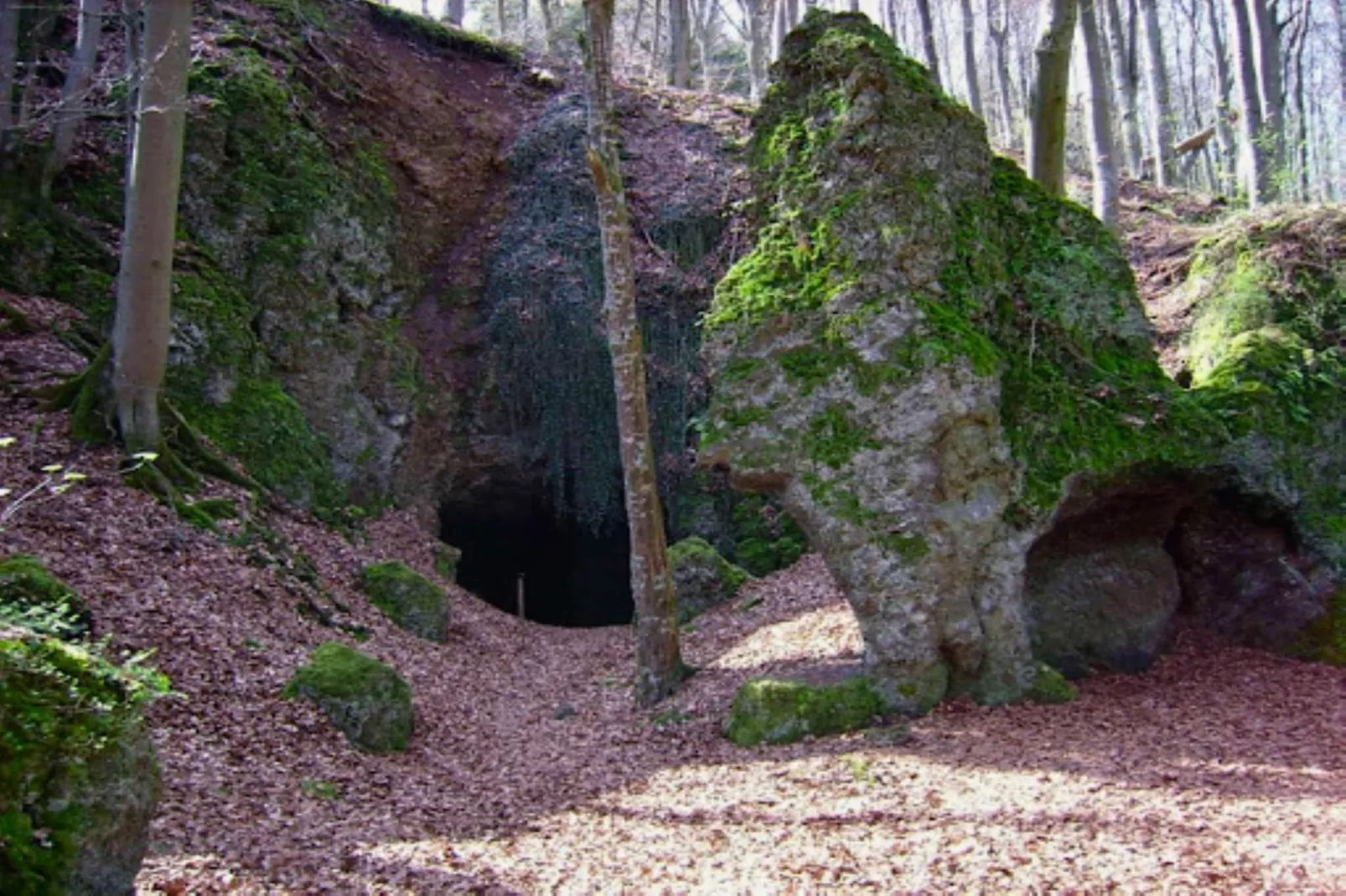 Ferienhaus Birresborn-Zones été à 5 km