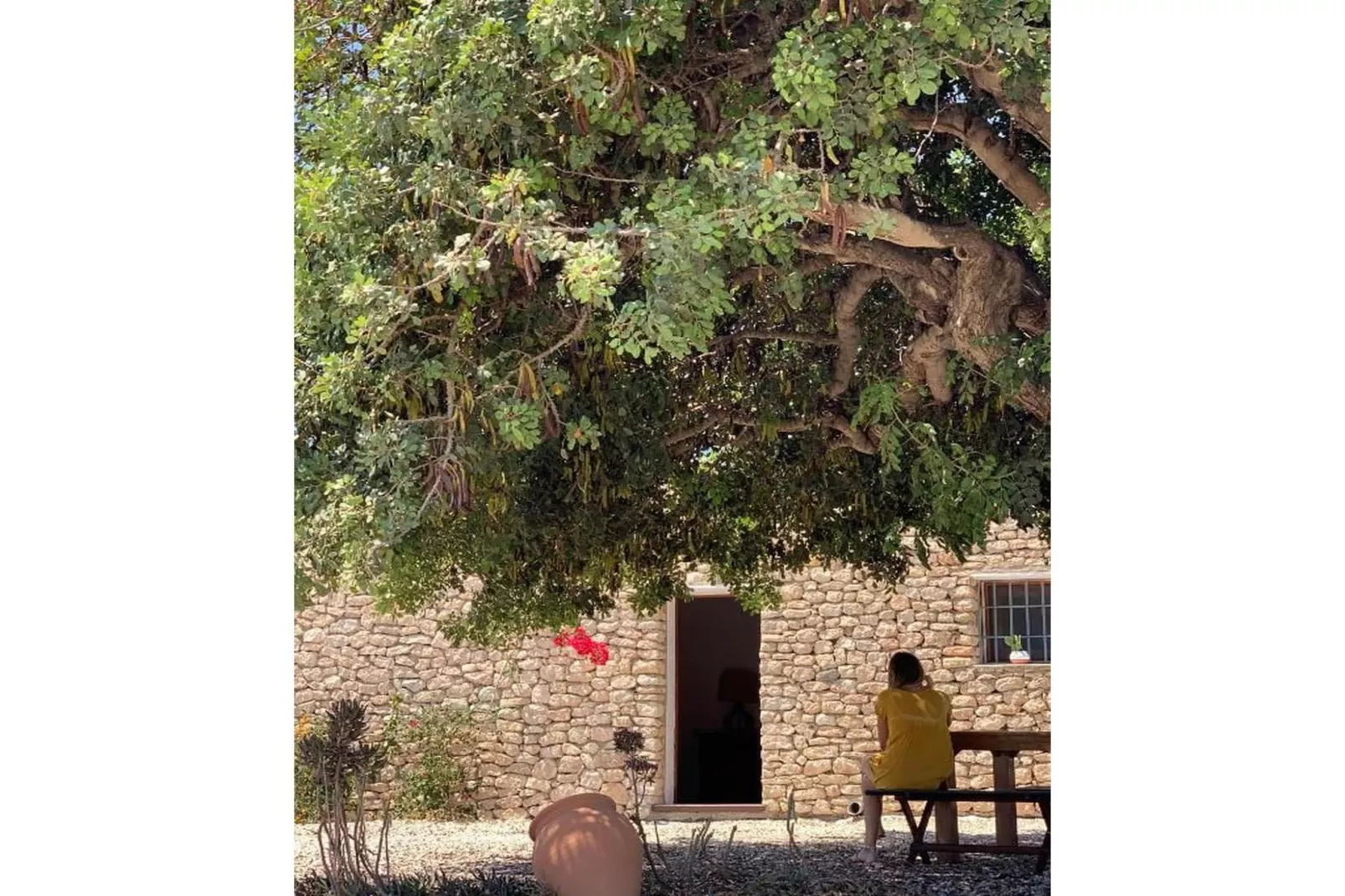 CT 354 AL - Faro's Casa Piedra - Agua Amarga - Cabo de Gata-Gebiete Sommer 5 km