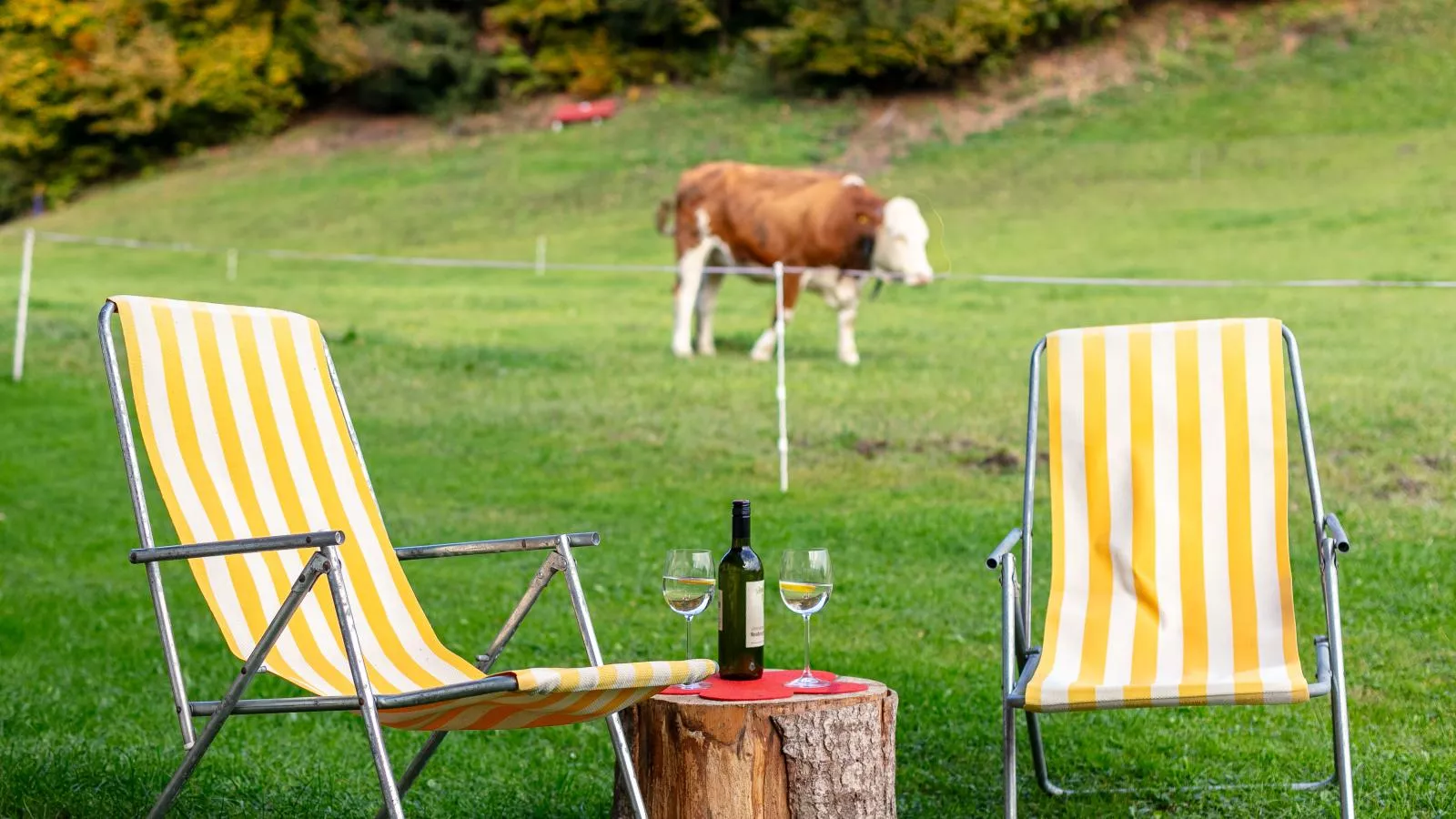 Tiroler Bergtraum Top 1 und 2-Jardins en été