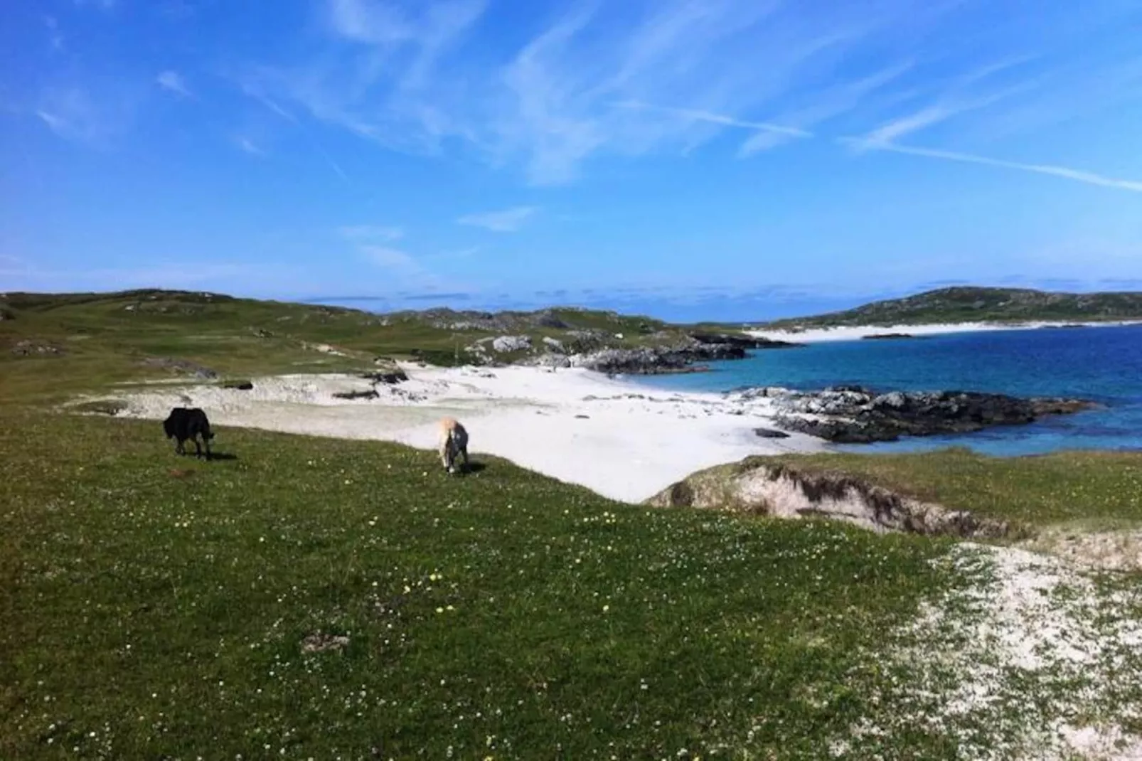 Maison à Ballyconneely Galway-Untagged