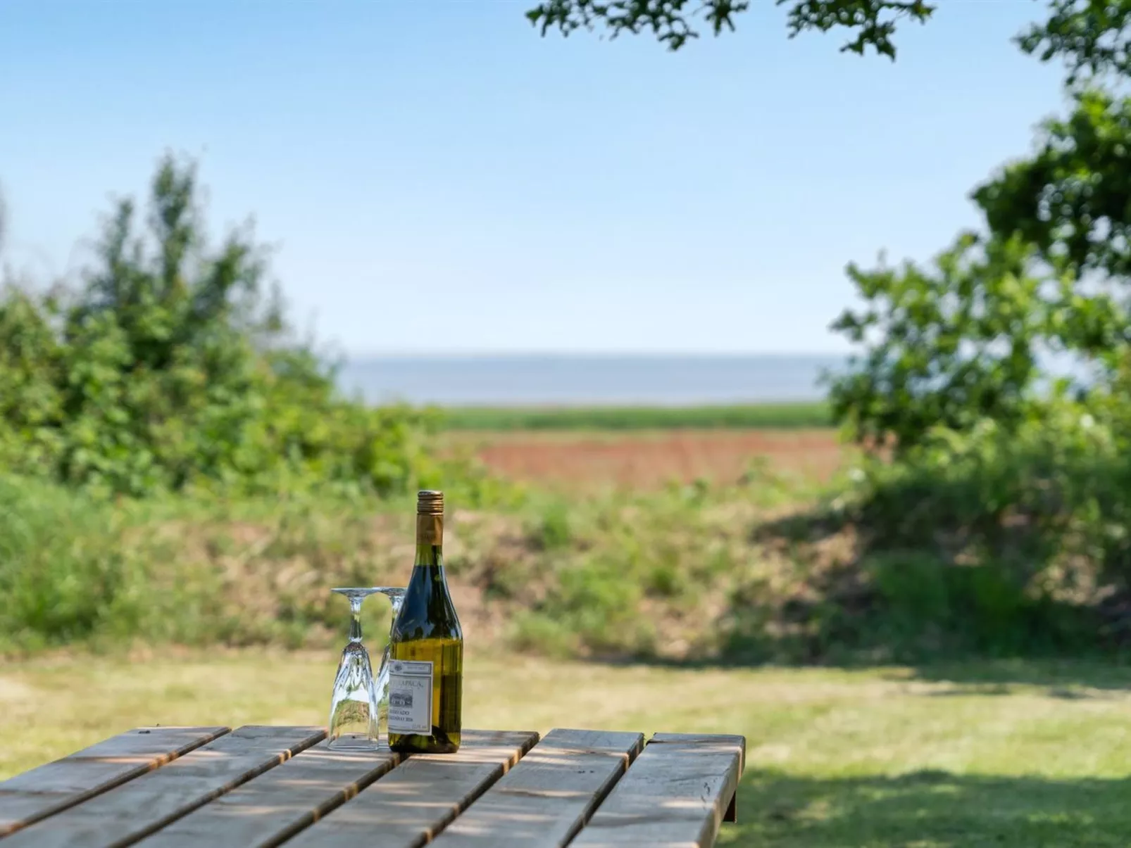 "Edelgard" - 4.5km from the sea-Draußen