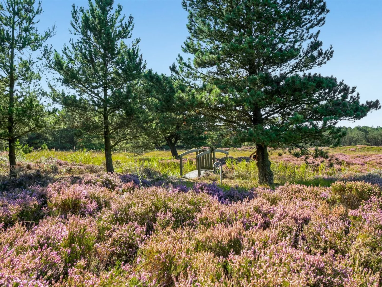 "Tea" - 2.7km from the sea-Dehors