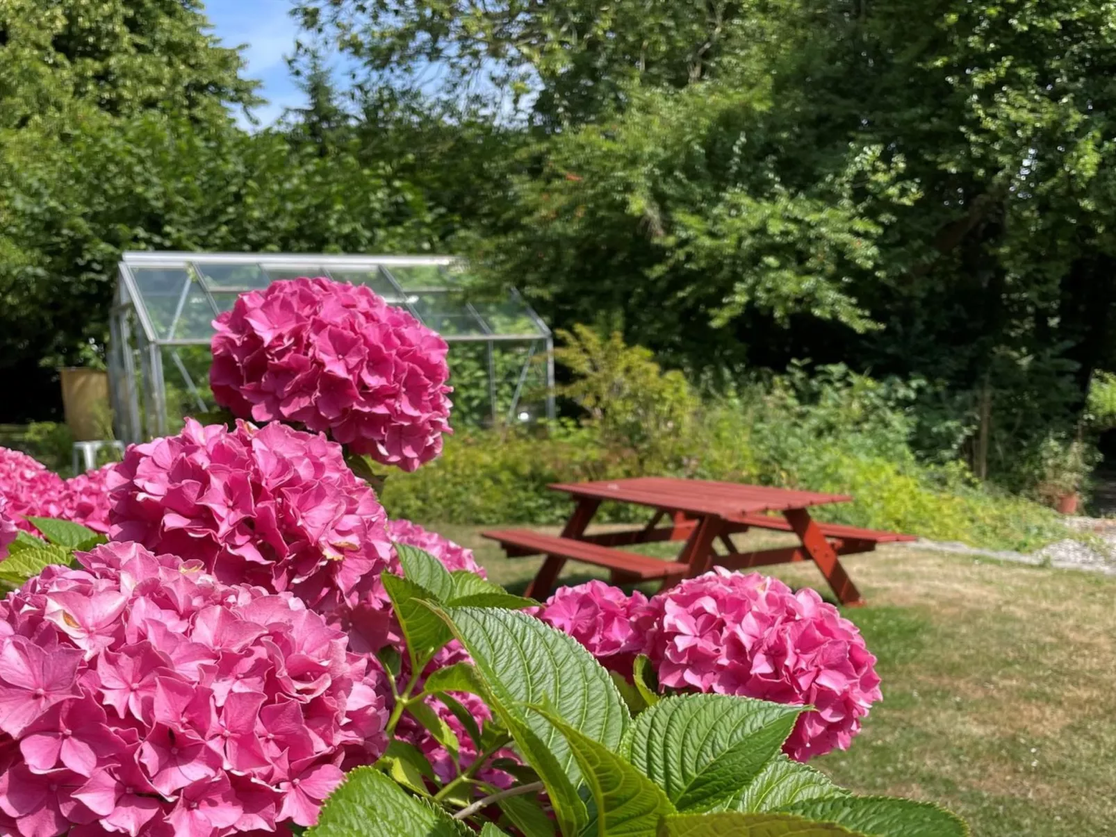 "Elvin" - 2.7km from the sea-Outside