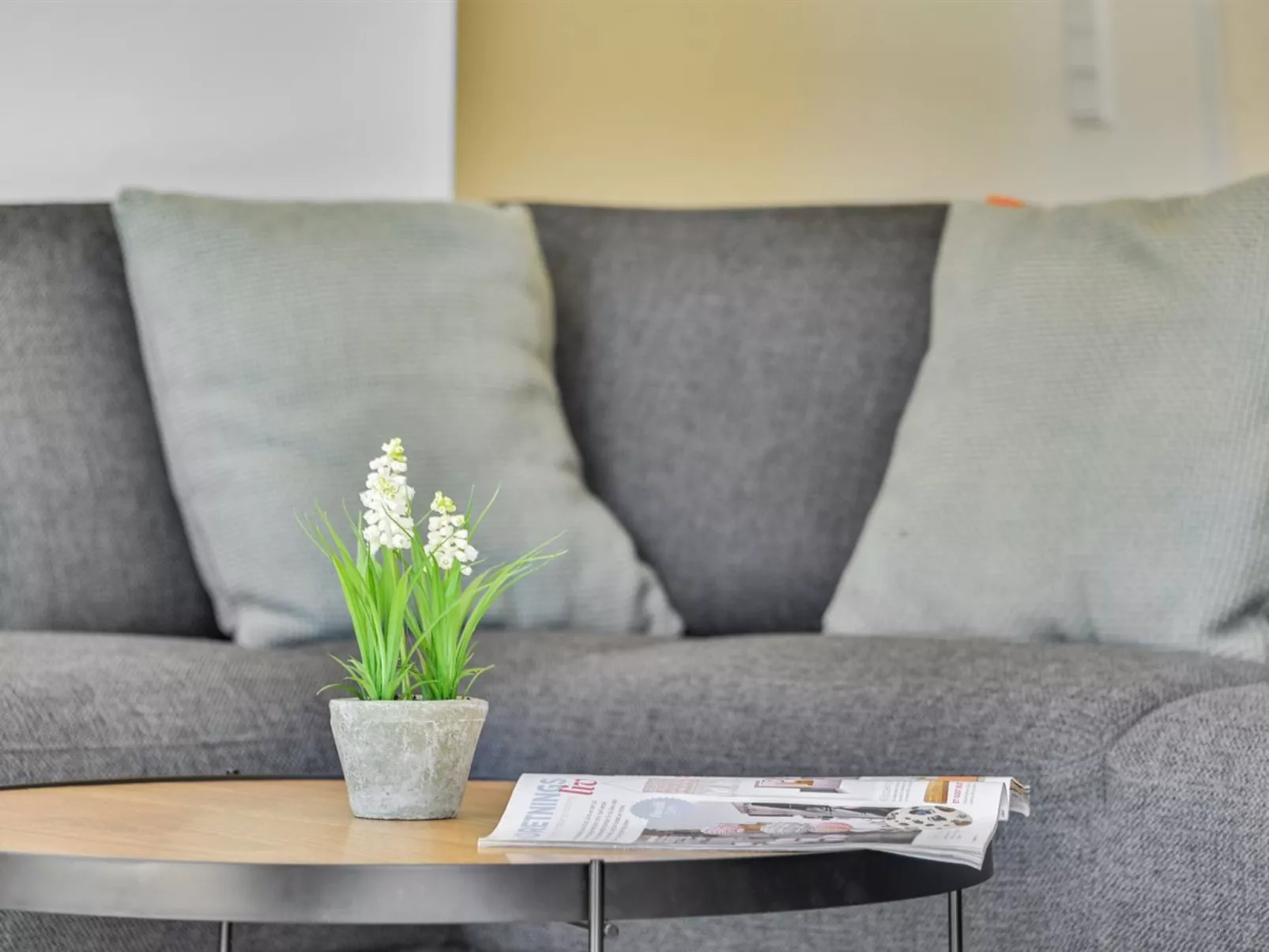 "Merve" - 800m to the fjord-Inside