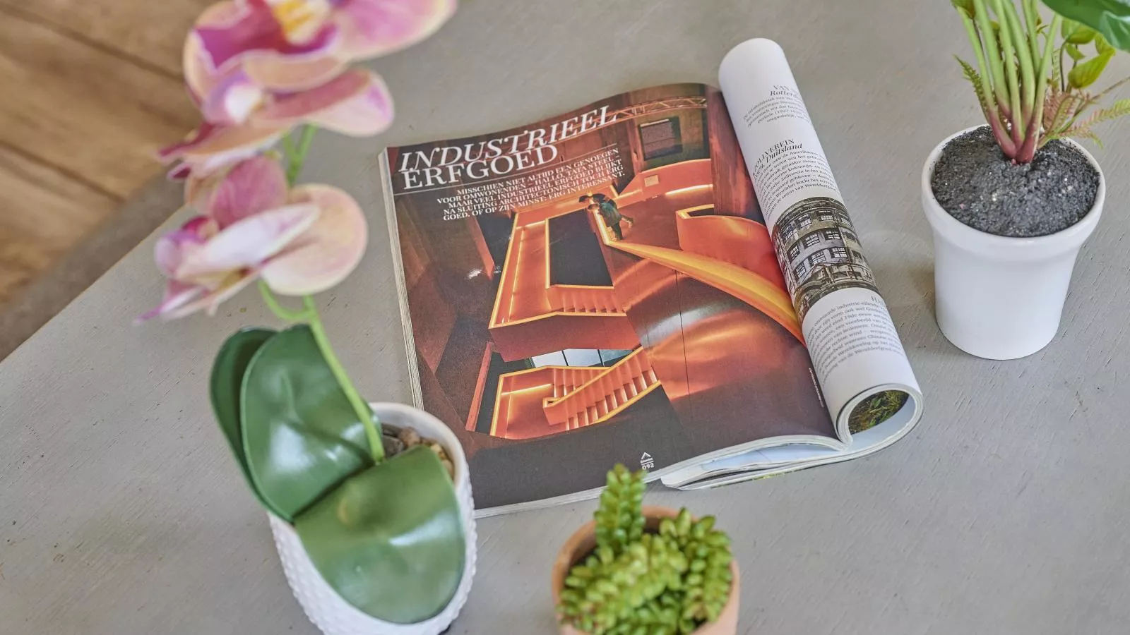 Heidepracht-Ambiance