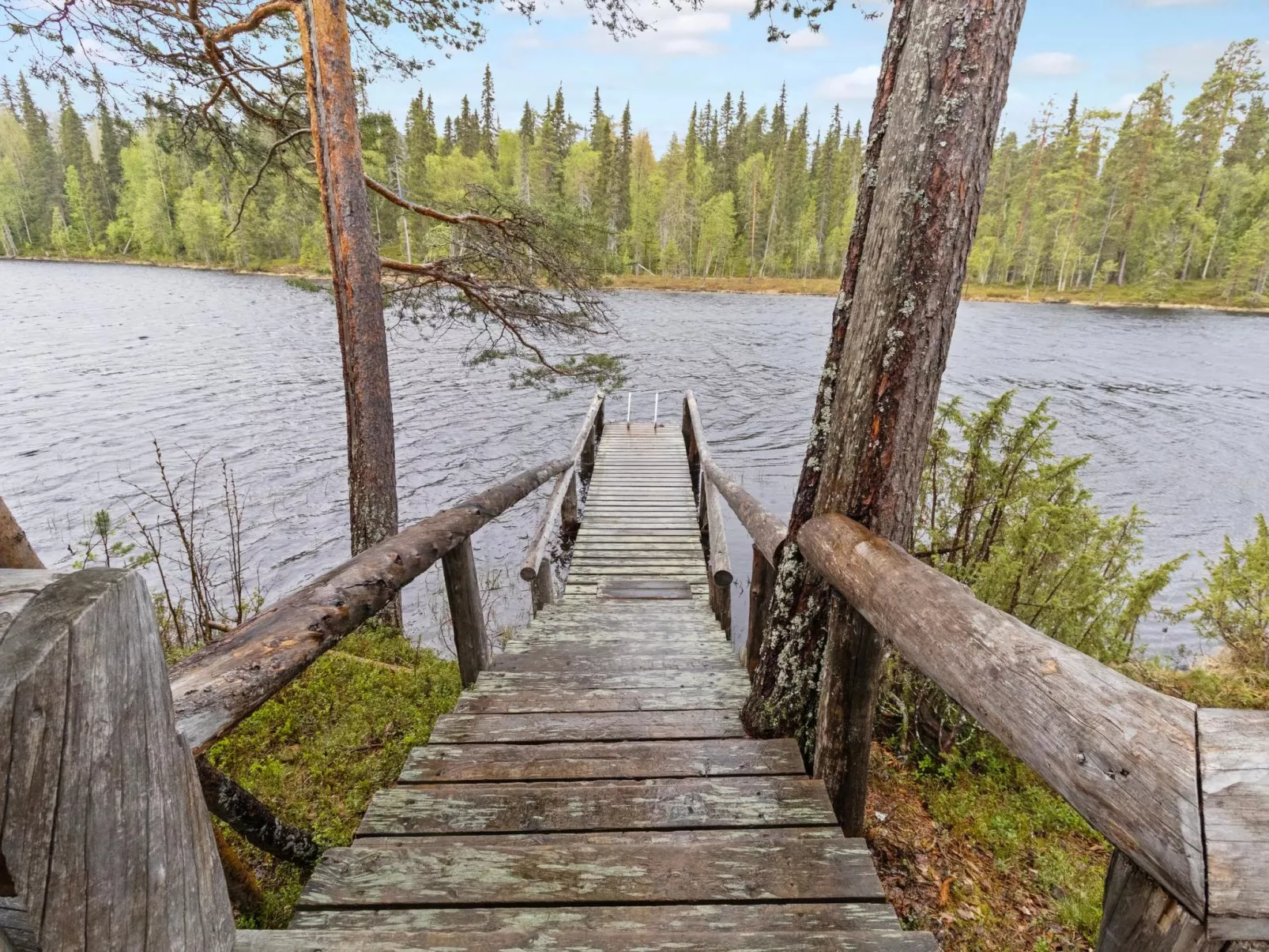 Metsä-luosto-Drinnen