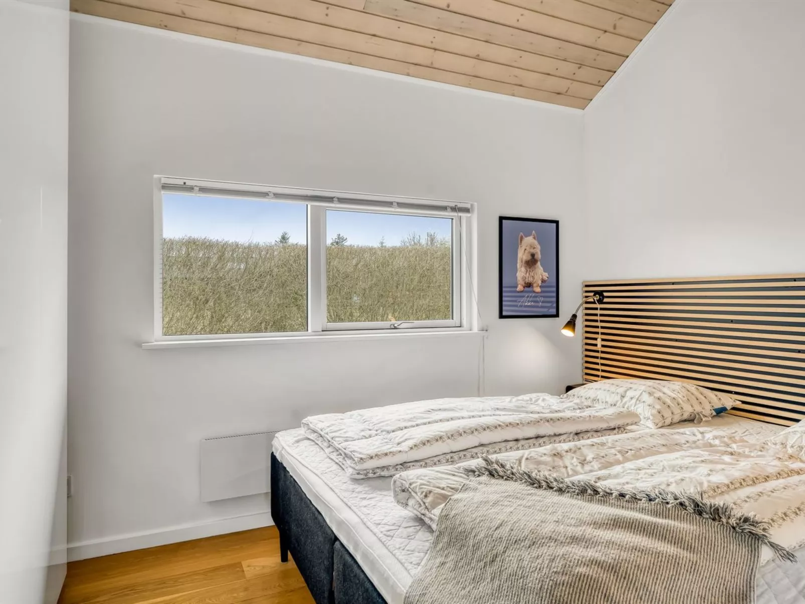 "Kato" -  from the sea-Inside