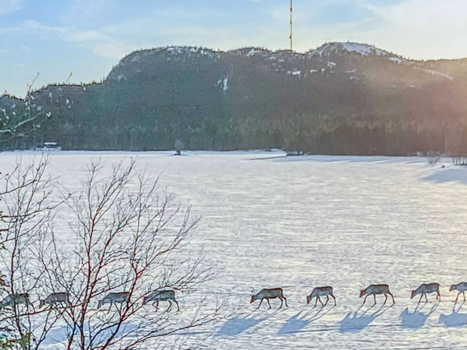 Rukaniemen kontio-Dedans