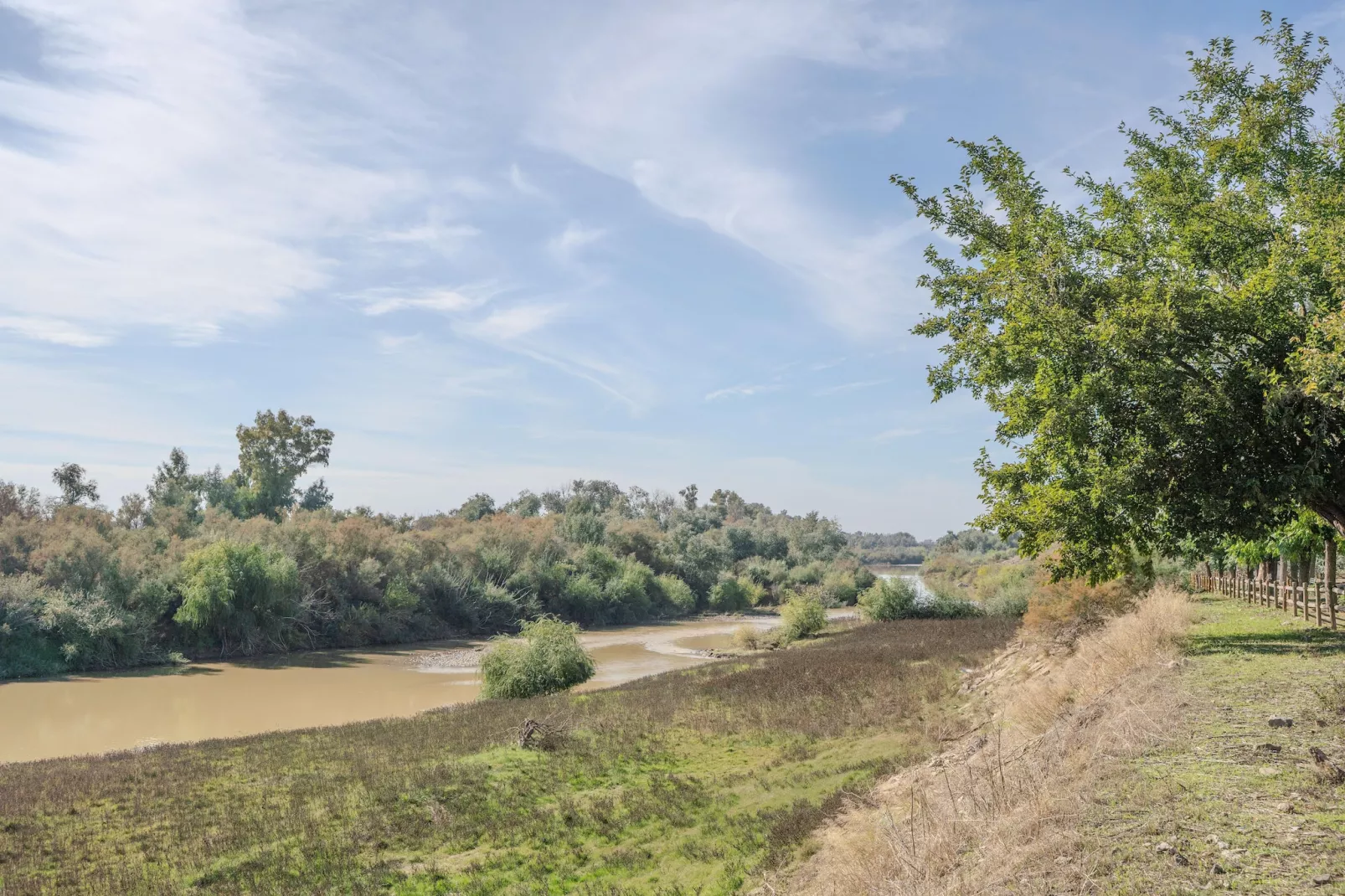 Santa Ángela de la Cruz