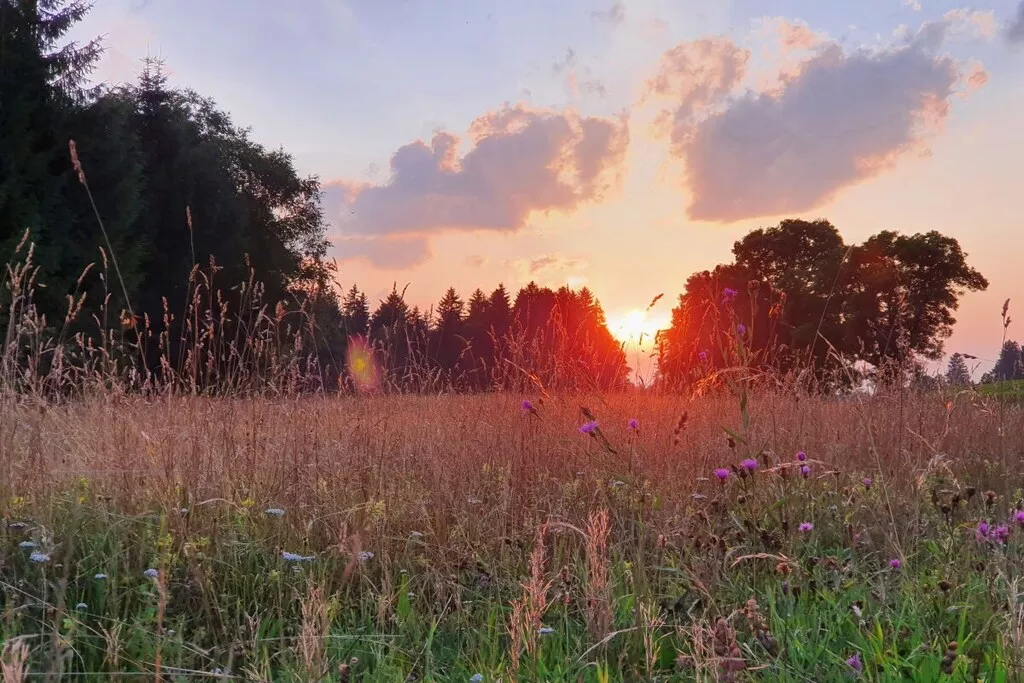 59980-Nicht zugeordnet