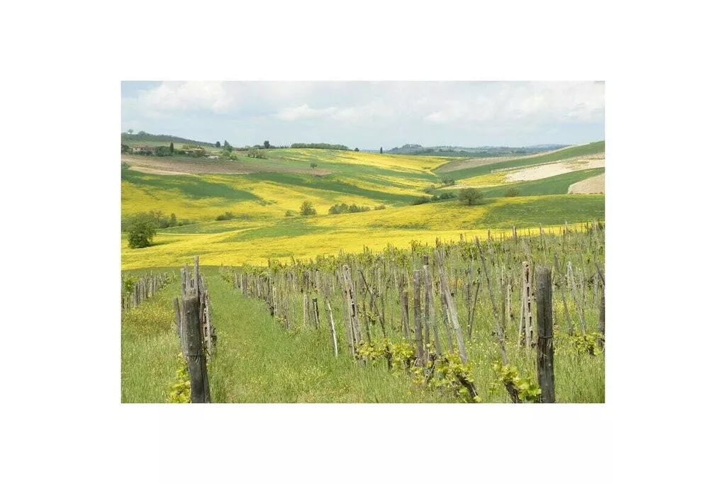 256322-Nicht zugeordnet