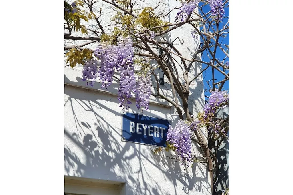 535510-Nicht zugeordnet