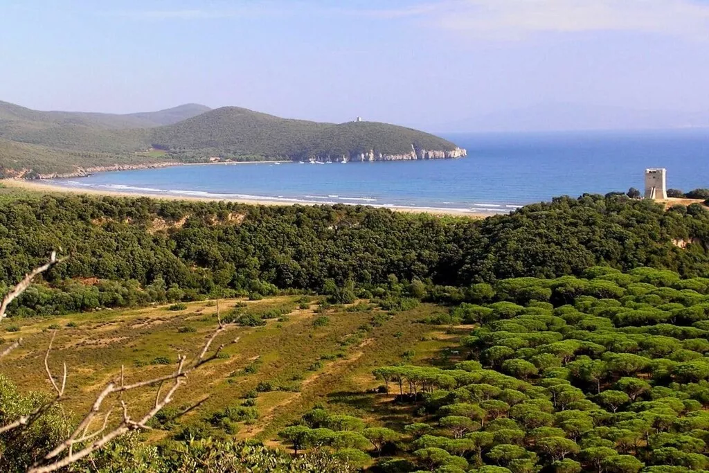 29689-Nicht zugeordnet