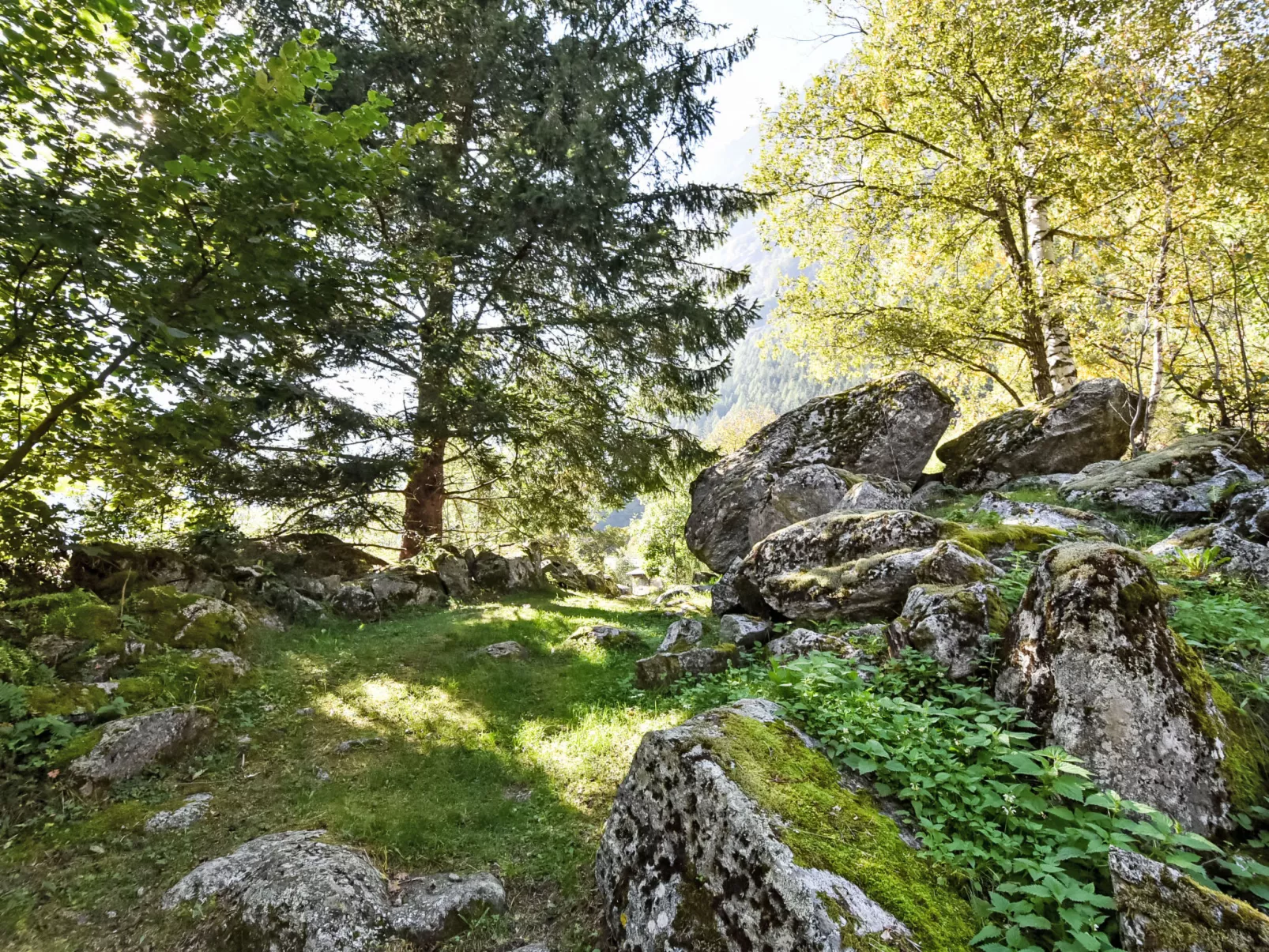 Val di Mello Mountain Flat-Area