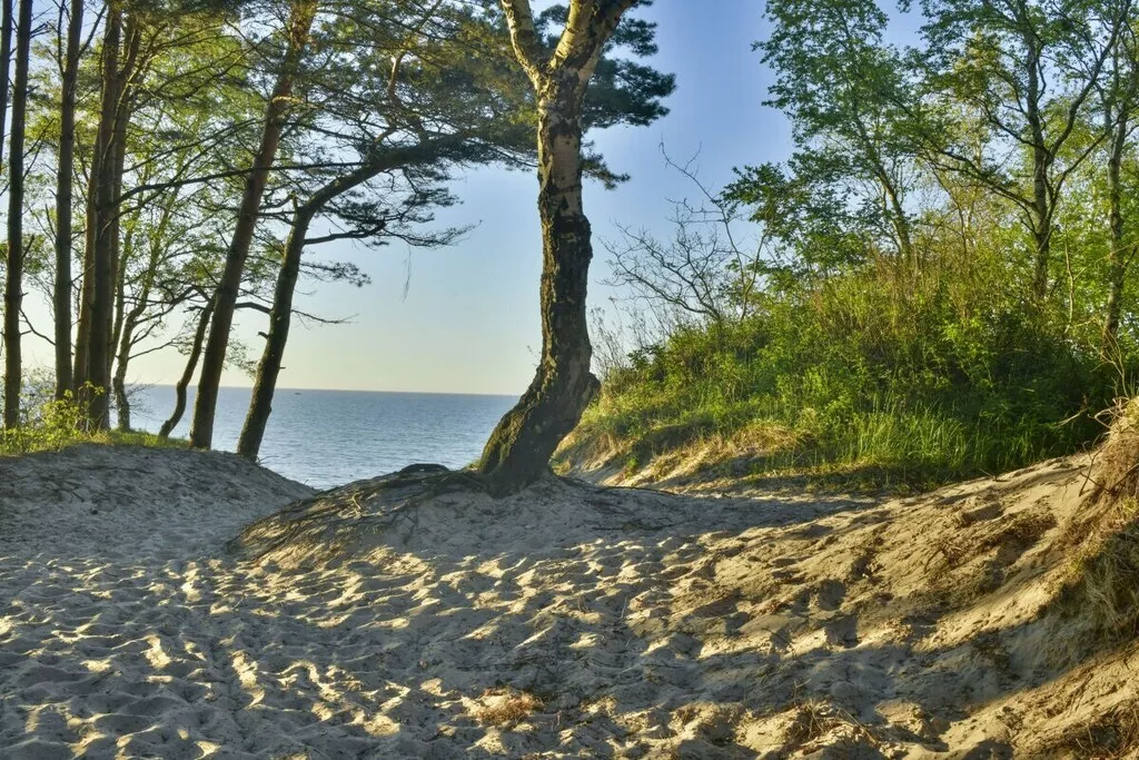 241695-Nicht zugeordnet