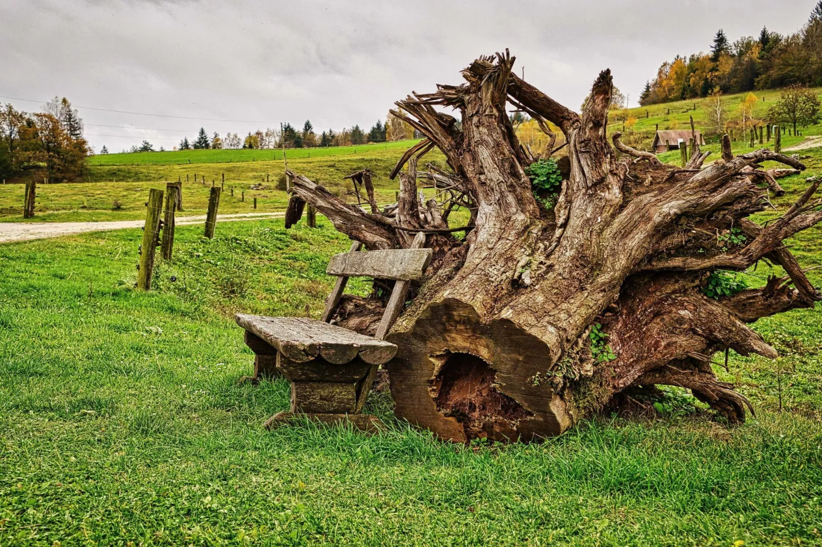 Visnja Gora Meadow Hideaway with Terrace - One Bedroom Cottage with Terrace (owner Hiška na skalci)-Im Freien