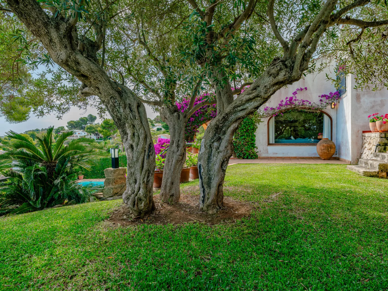 Villa Pomelo Plus-Dehors