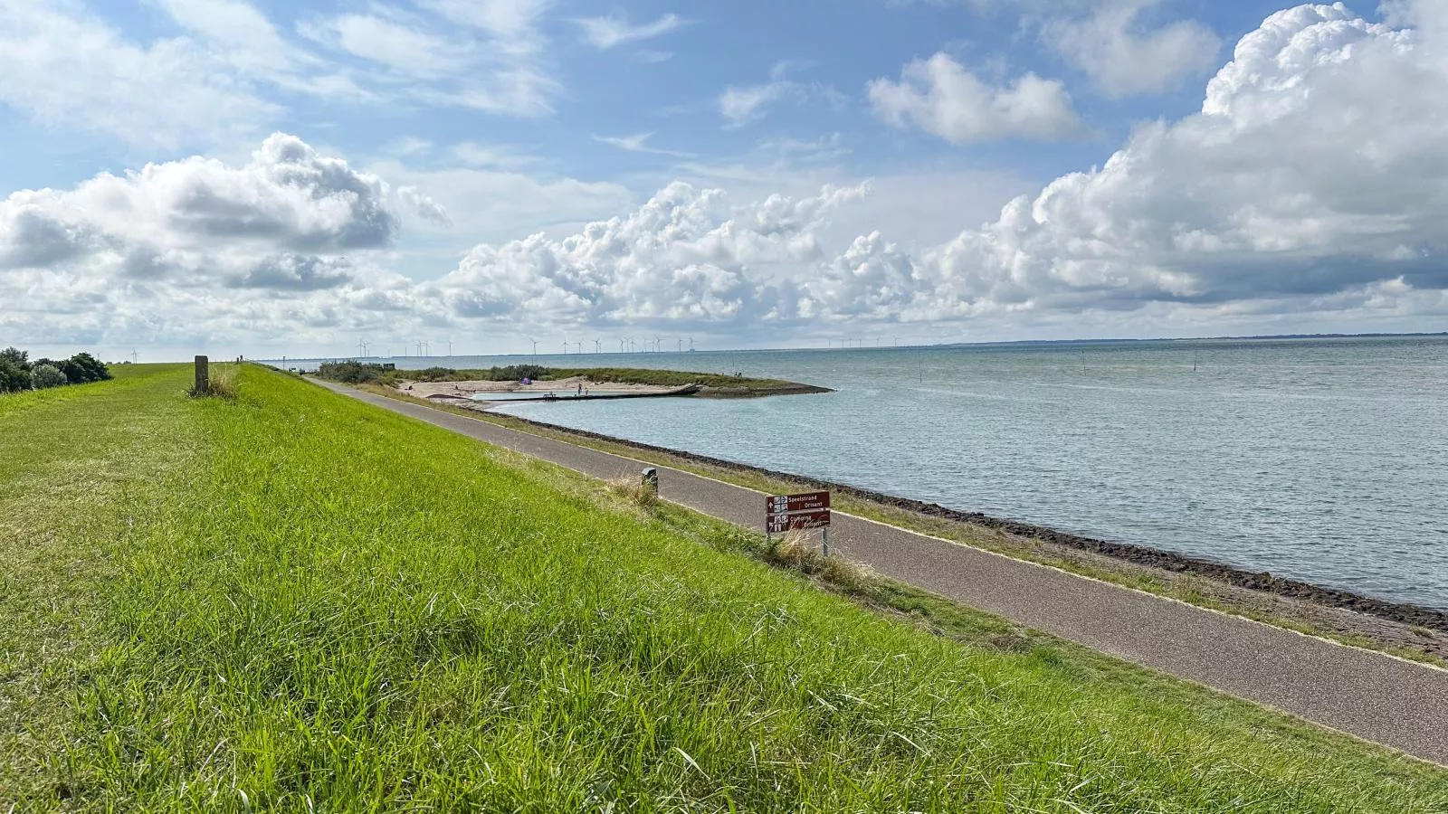 Dune Design 39-Areas within 1km in summer