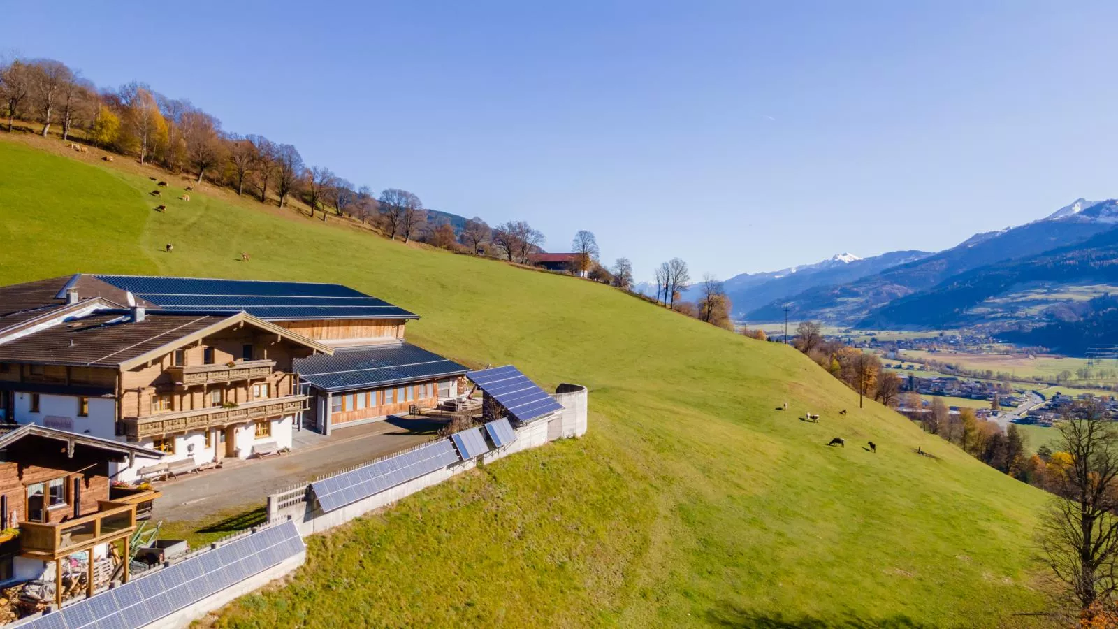 Grünbichel Hof I-Exterior in summer