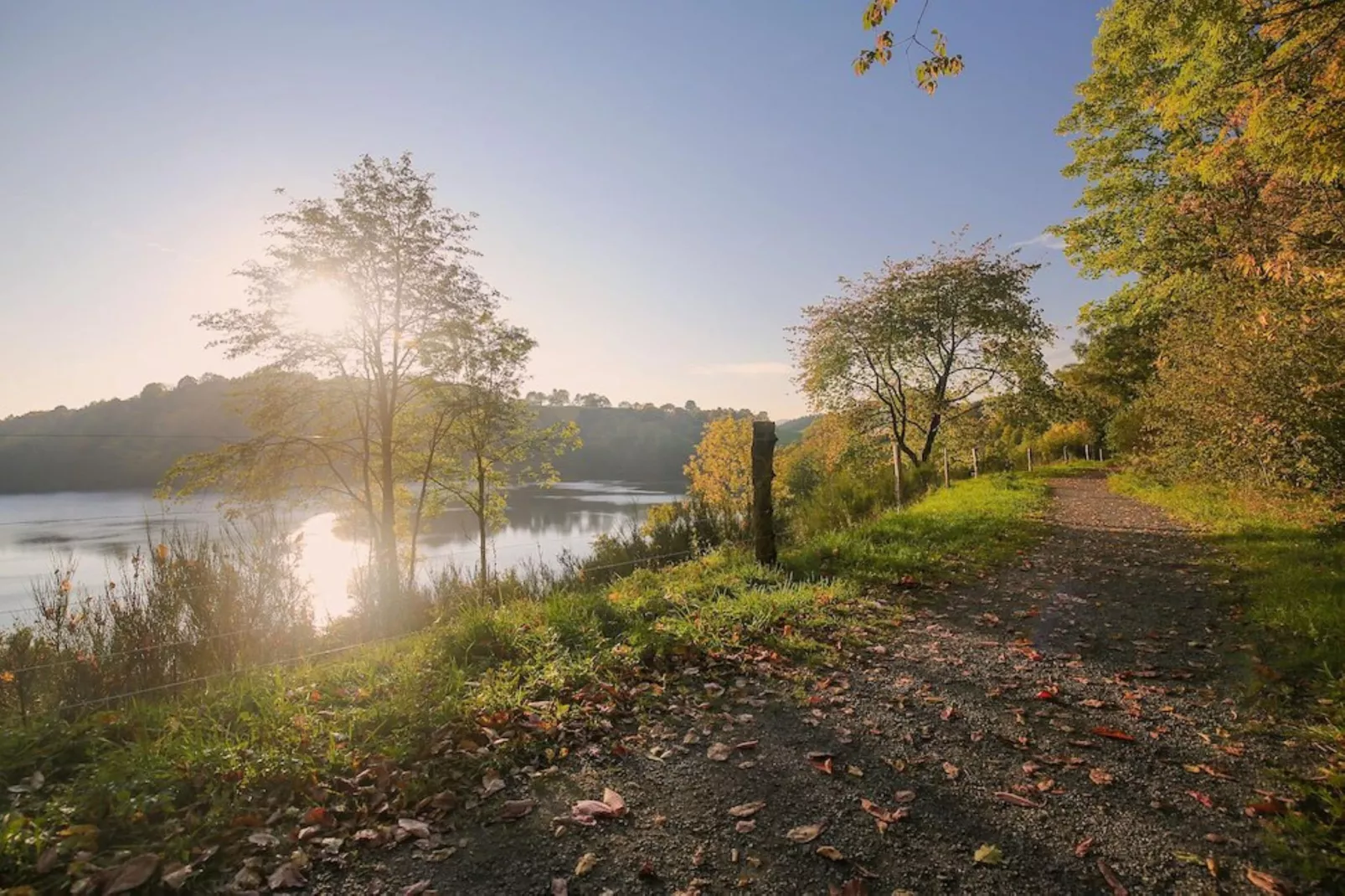 Ferienhaus Birresborn-Zones été à 5 km