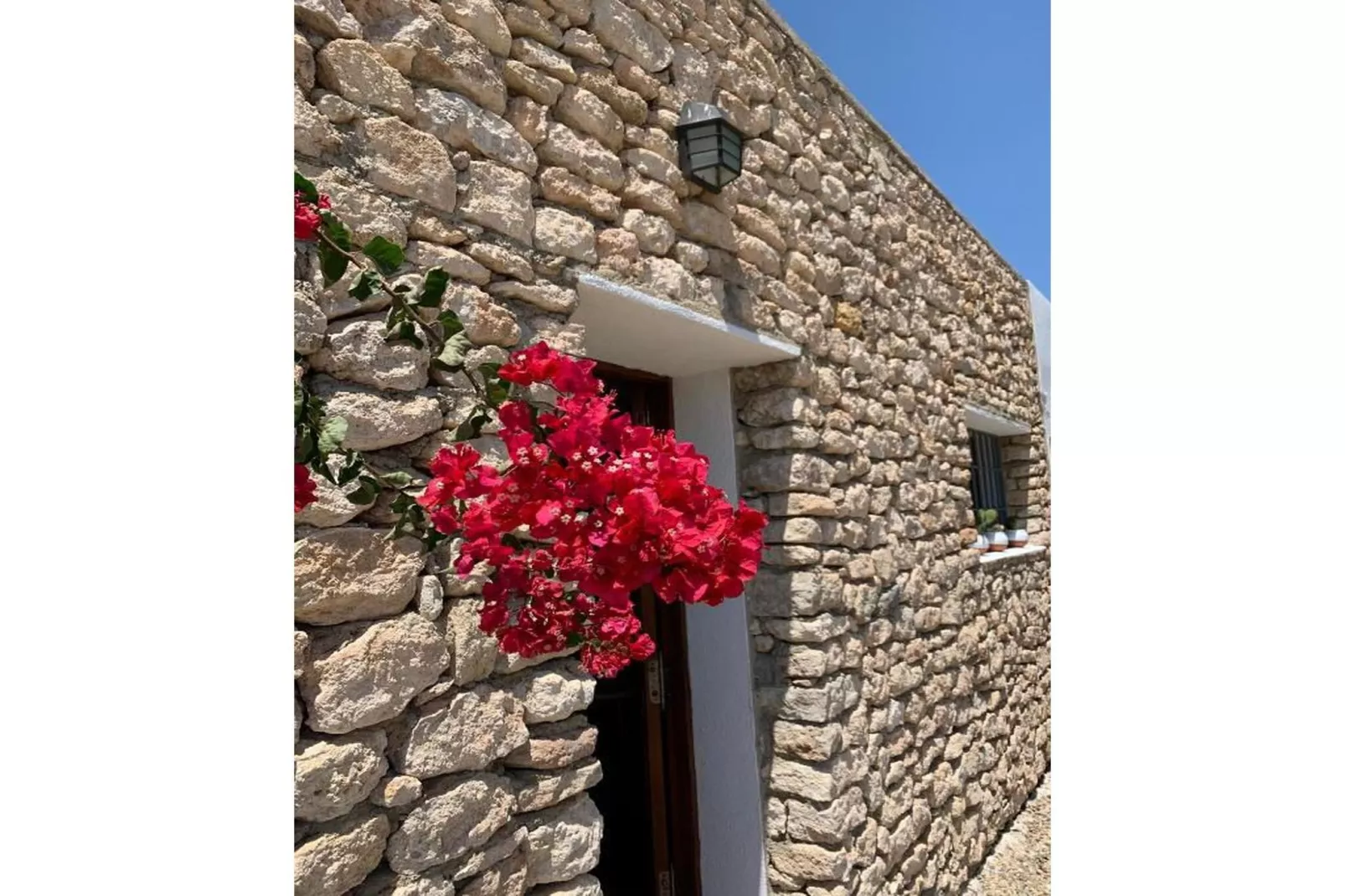 CT 354 AL - Faro's Casa Piedra - Agua Amarga - Cabo de Gata-Ambiente