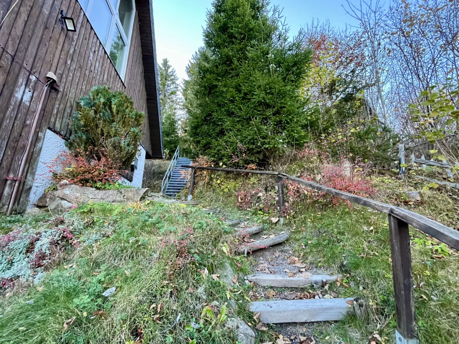 Falkennest - mit Blick auf den Titisee-Draußen