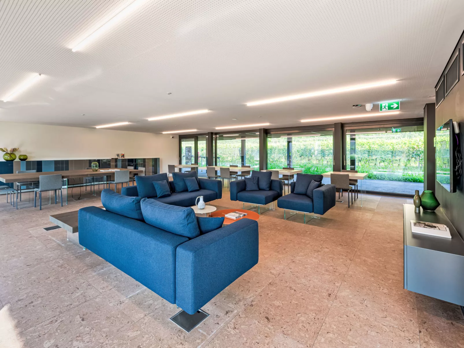 Lo Scudo di Stabio 1 Zi.Studio Süd.-Dedans