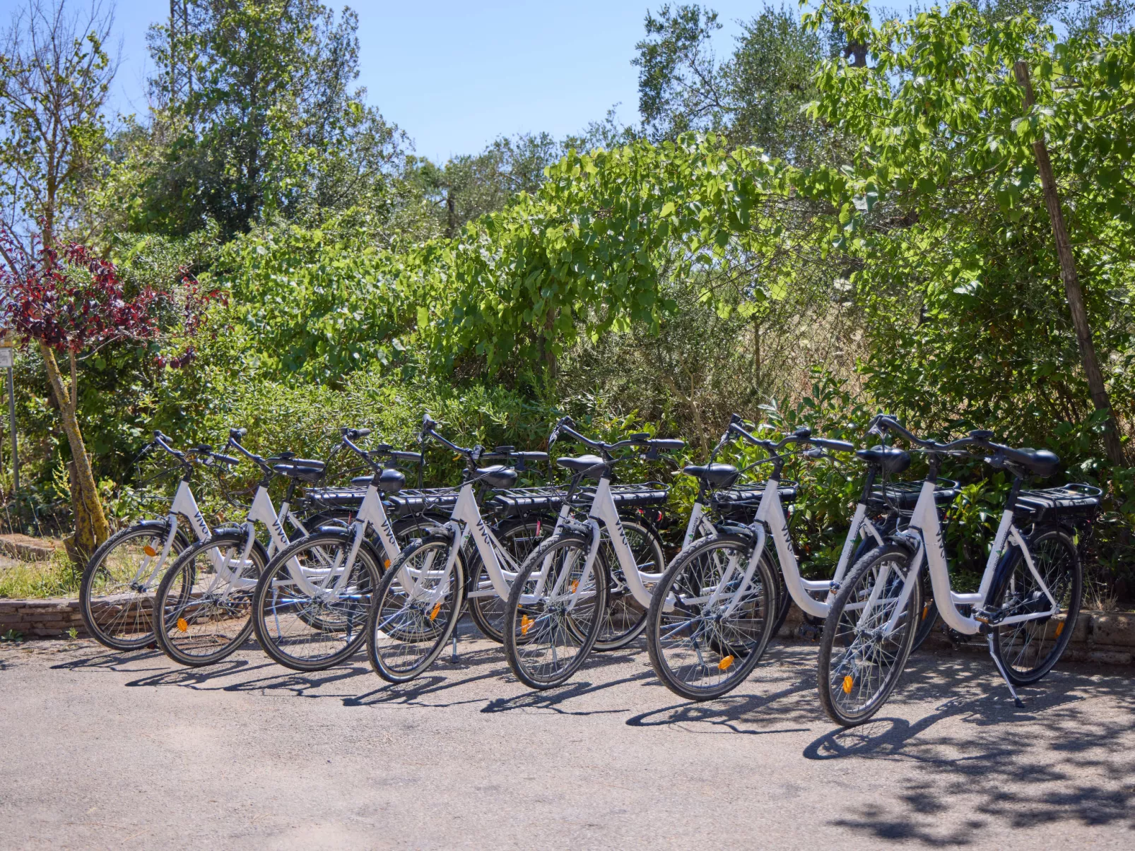 Costa D'Argento-Inside