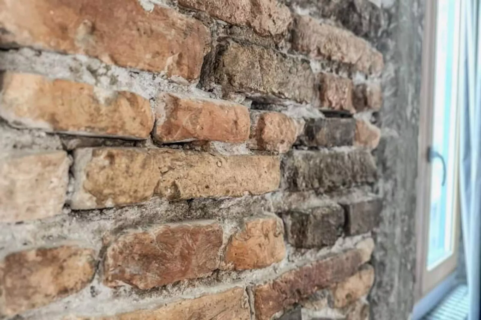 | L'escapade Des Clercs 💗-Untagged