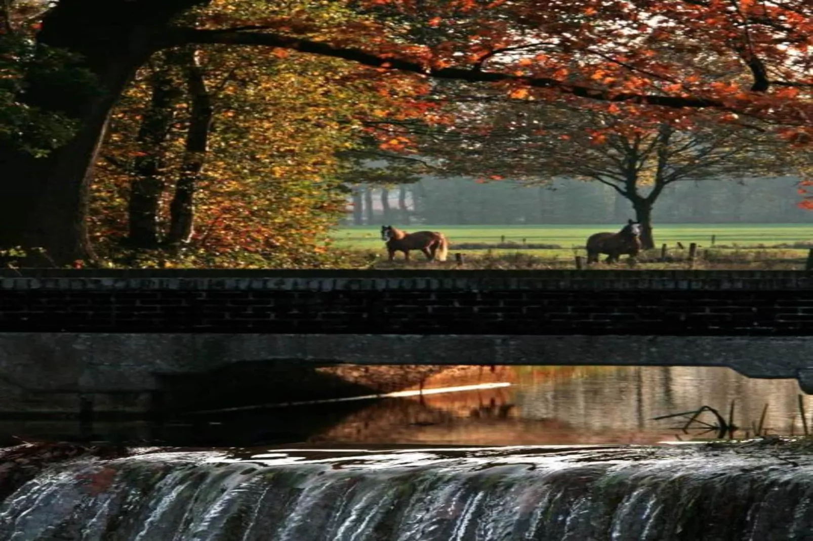 Vakantiepark Molenvelden 6-Zones été à 20 km