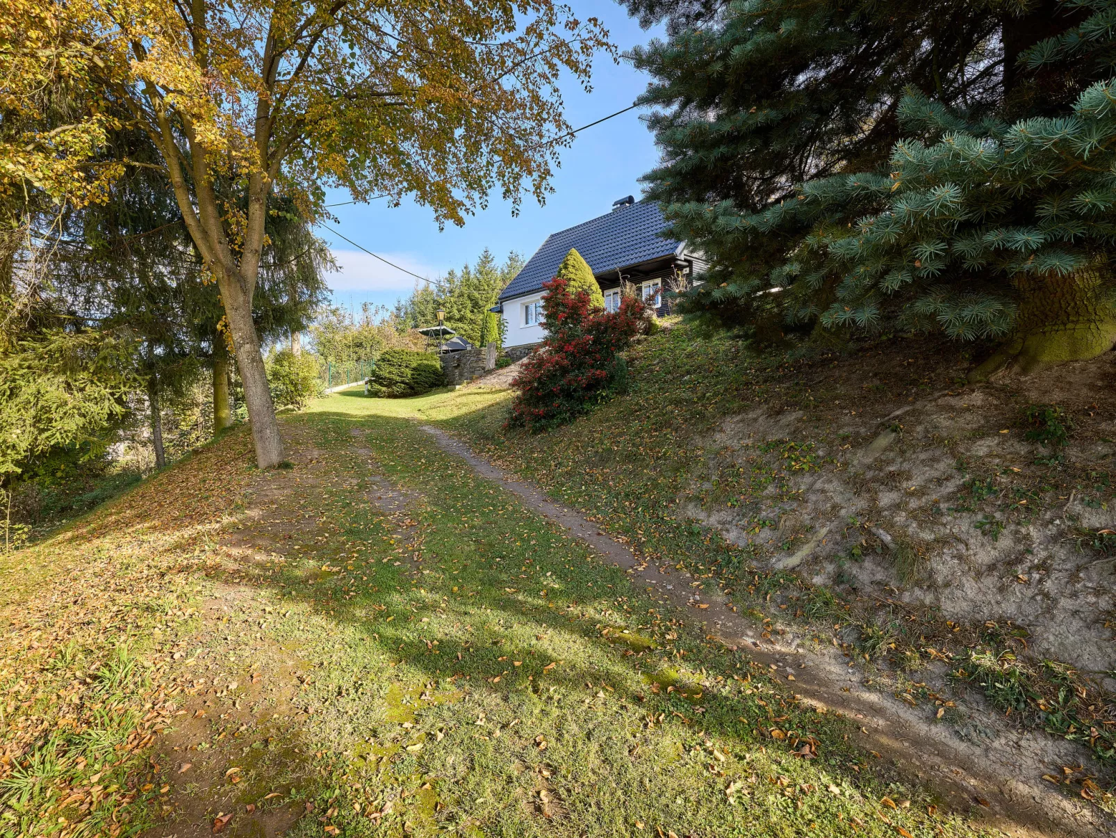 Leisure Lounge & Pool-Outside