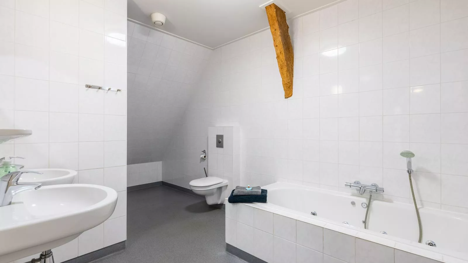 Groep in Friesland-Bathroom