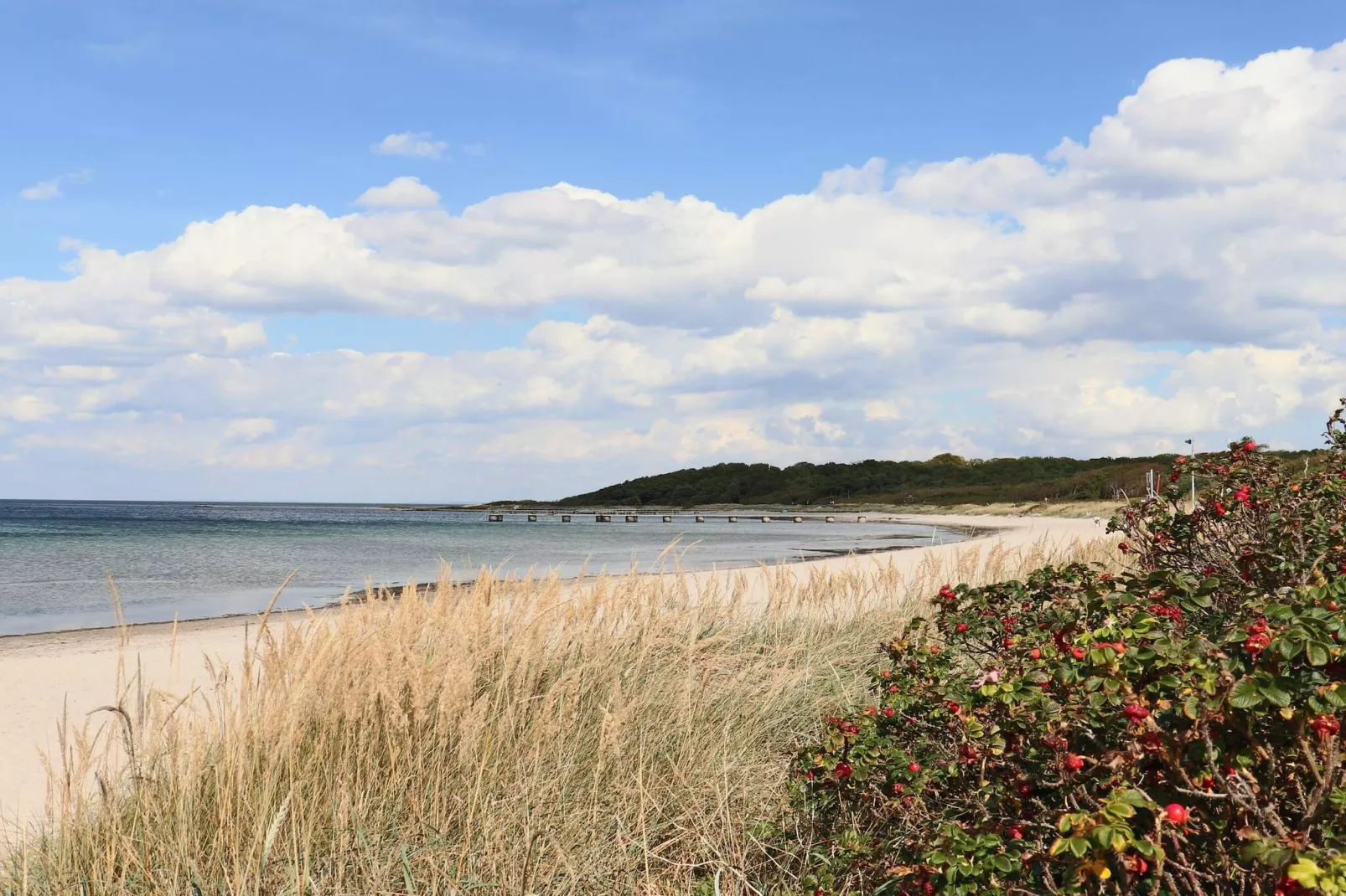 5 Sterne Ferienhaus in Torekov-Nicht zugeordnet