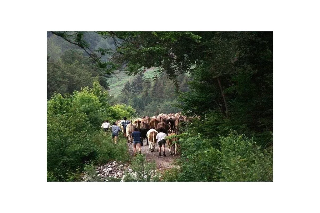 10659-Nicht zugeordnet