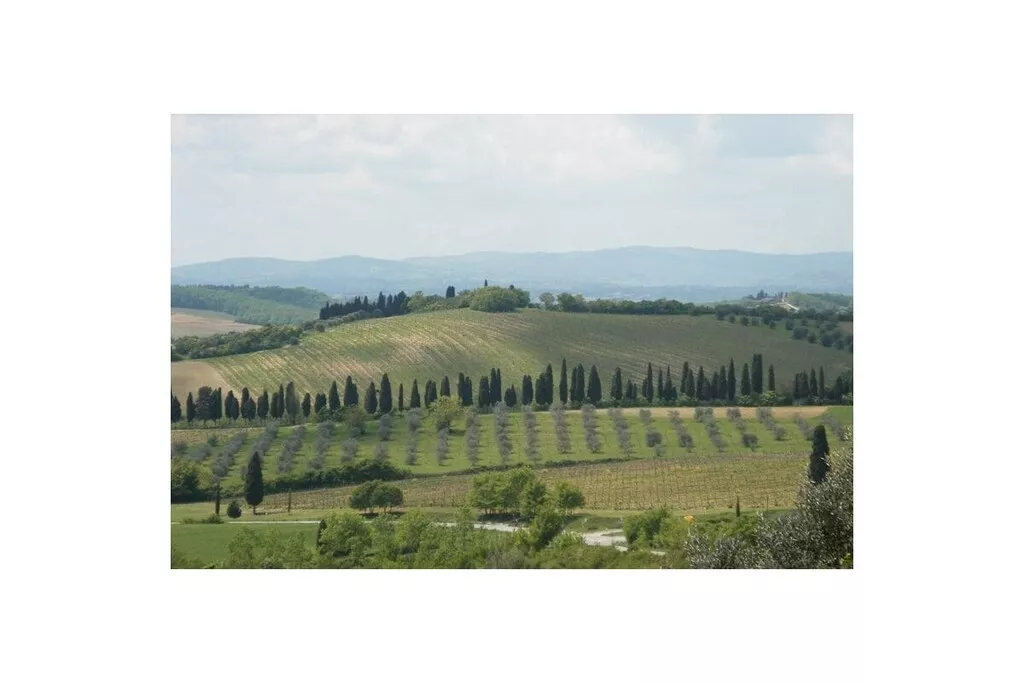 256322-Nicht zugeordnet