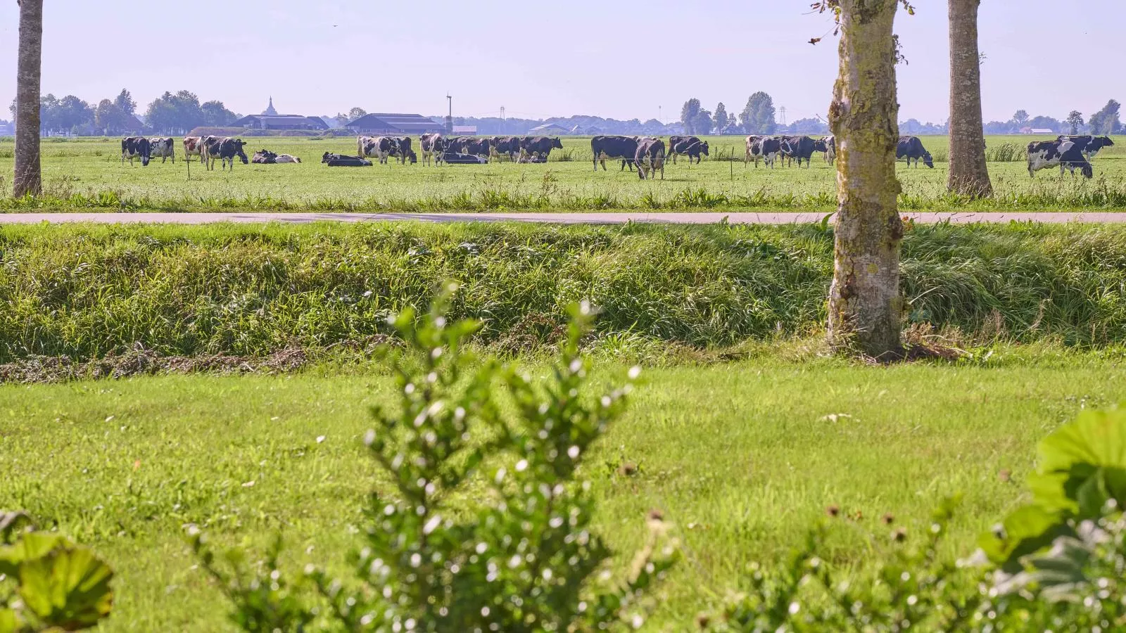 Alpa Casa-Vue d'été