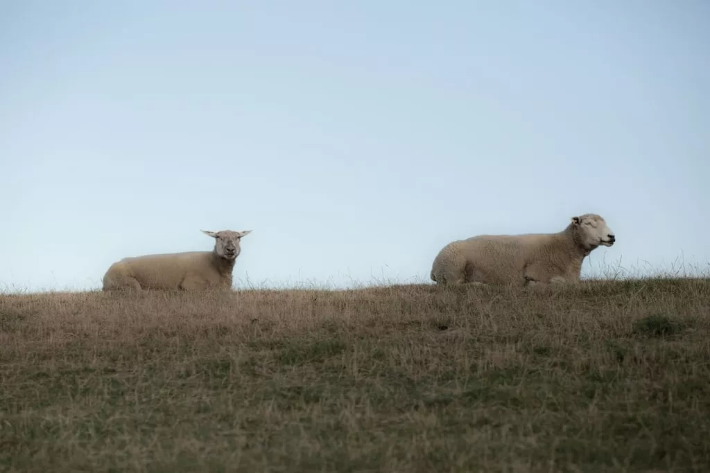 403944-Nicht zugeordnet